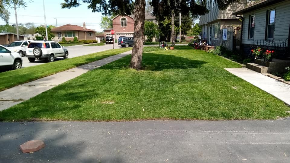 Photo number 3 of Leo's Lawn Care Services's best work performing a null job