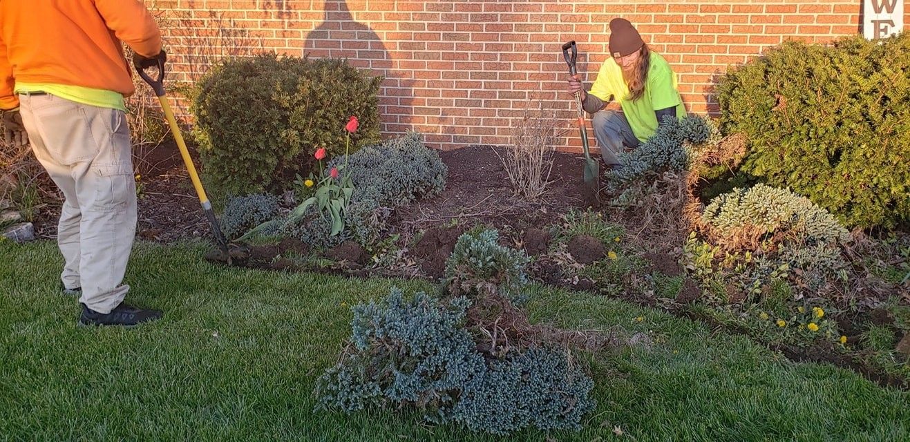 All Photos for Tingley's Green Land Services in Springfield, Ohio