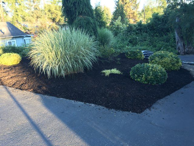 Photo number 5 of Evergreen State Superior Landscaping, Inc.'s best work performing a null job