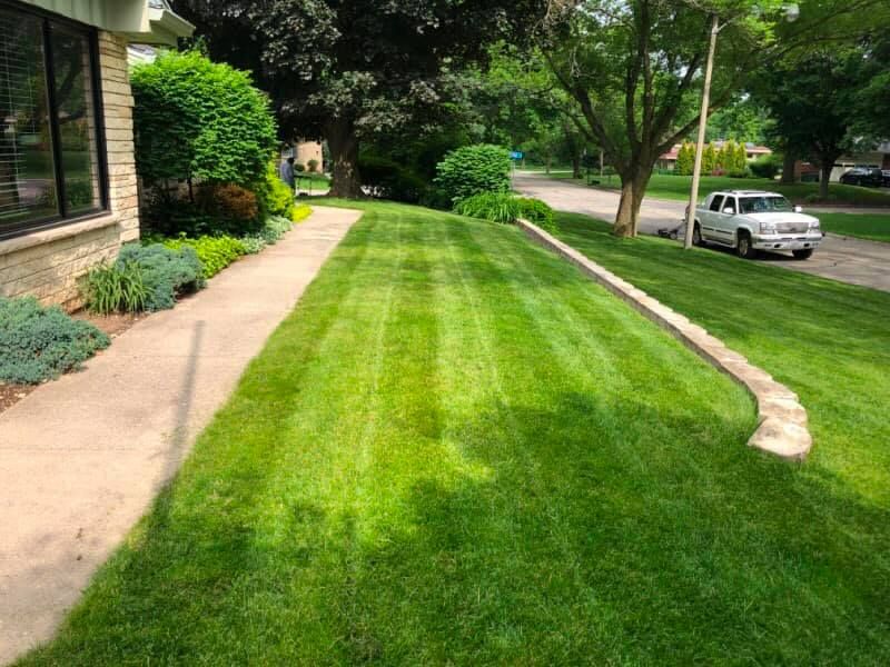 Photo number 12 of STS Lawn Care & Snow Removal's best work performing a null job