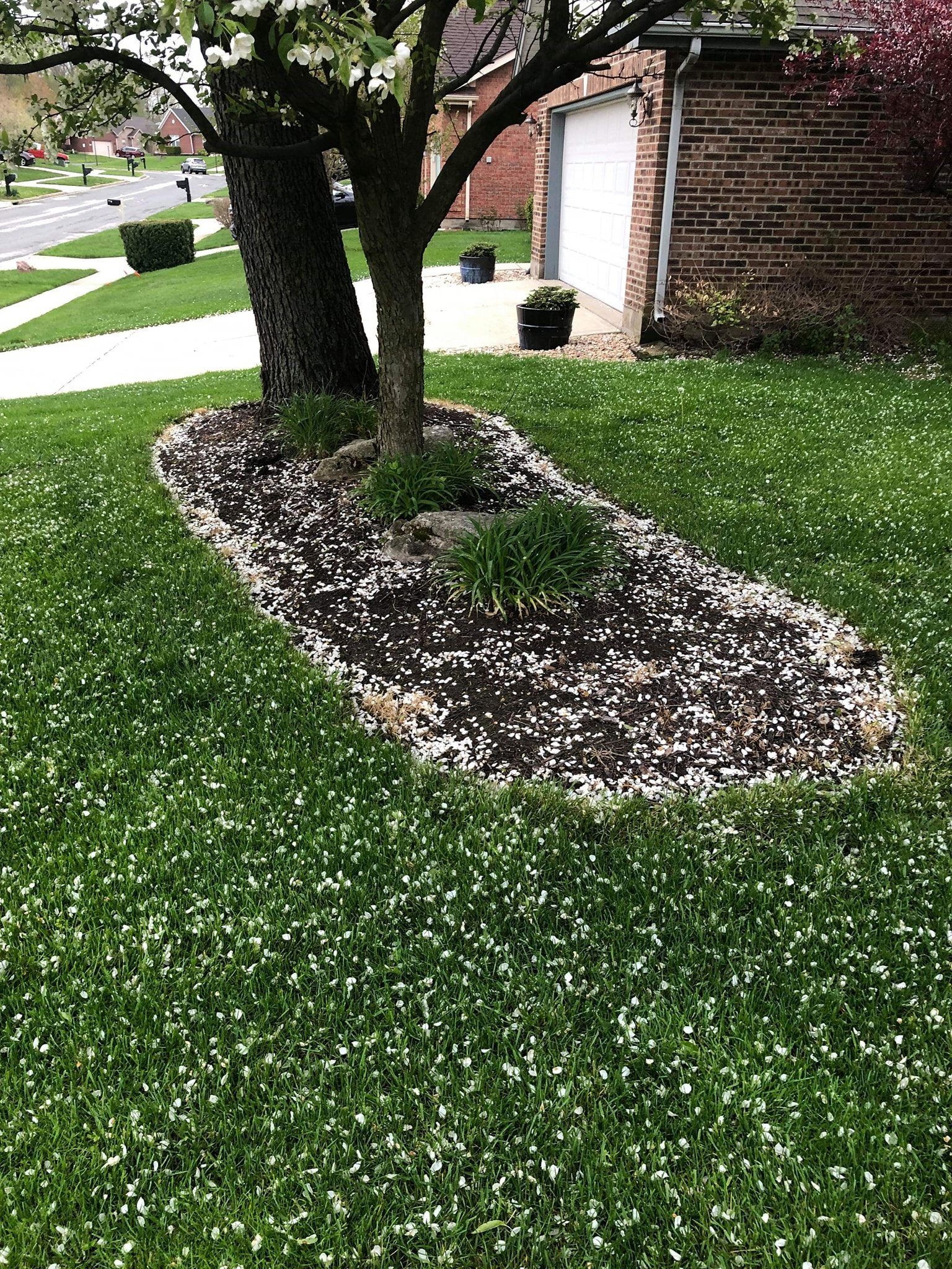 All Photos for Tingley's Green Land Services in Springfield, Ohio