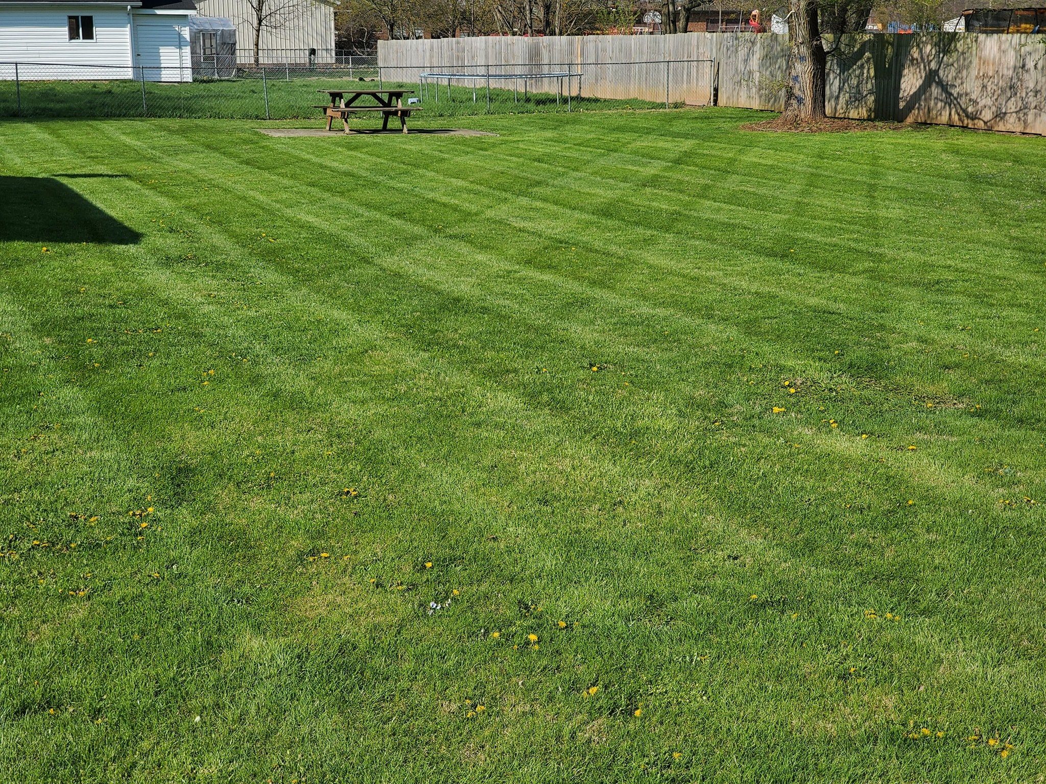 All Photos for Tingley's Green Land Services in Springfield, Ohio