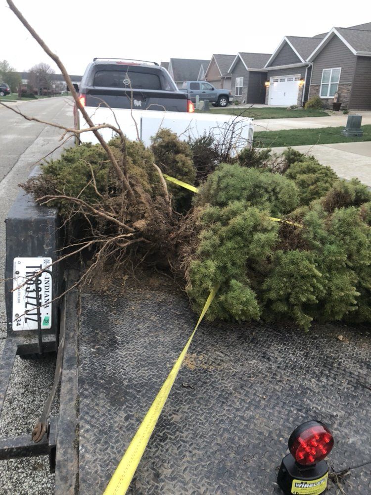 Photo number 3 of Jackson's Junk Removal's best work performing a Yard Waste Removal job
