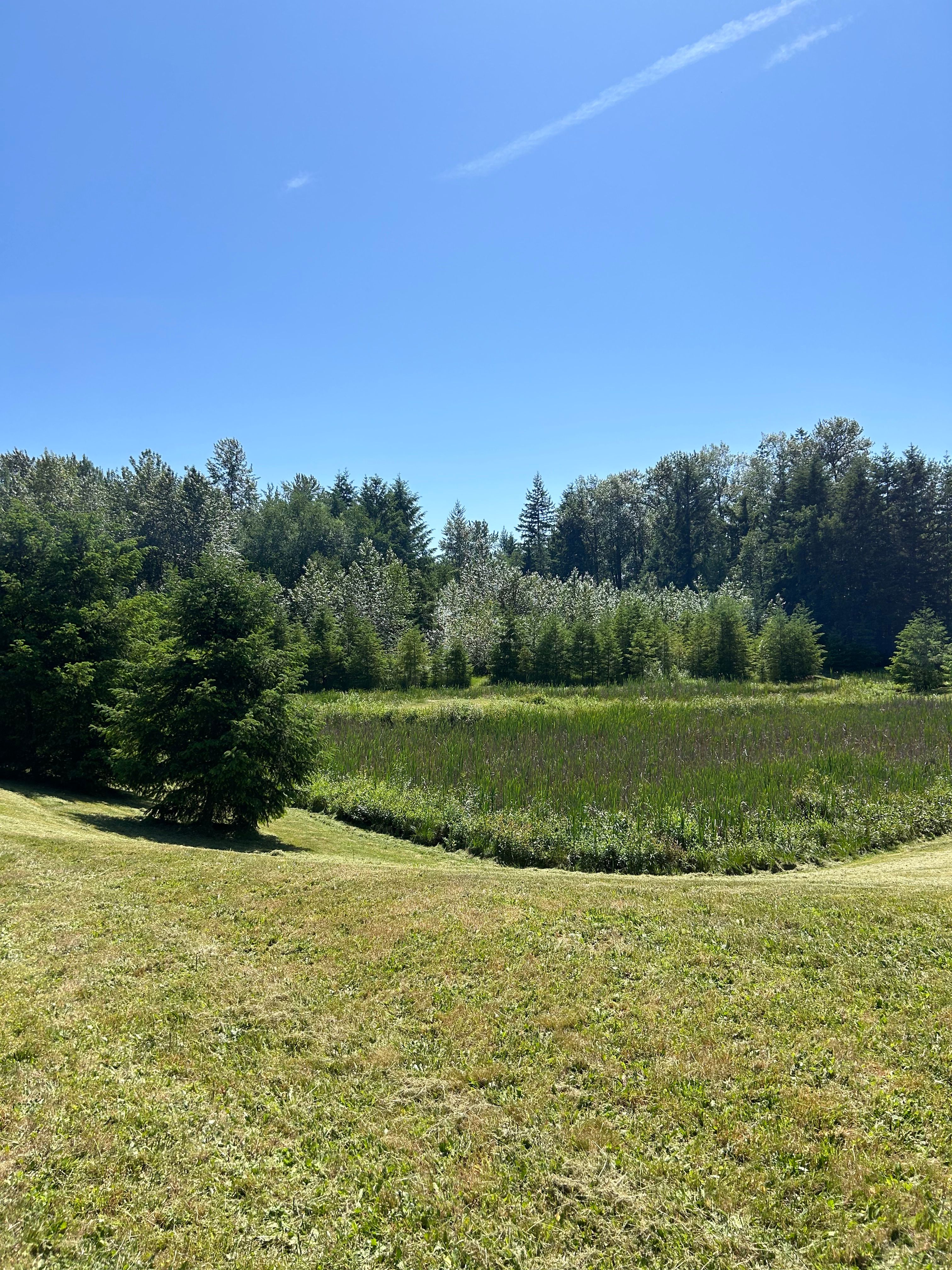  for Avenscapes NW, LLC in Getchell , WA