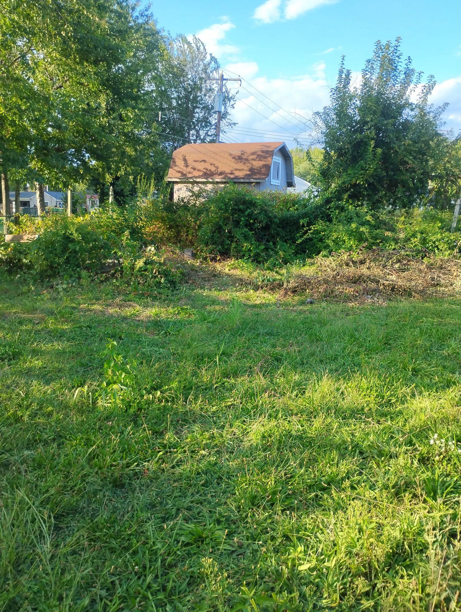  for Russo’s Landscaping & Tree Removal in Levittown, PA