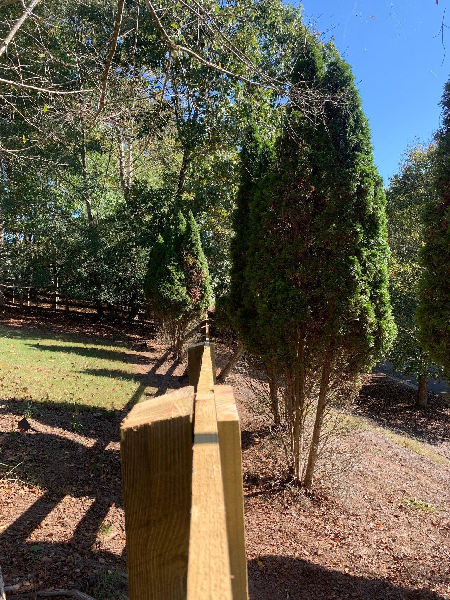  for Alpine Fence in Dahlonega, GA