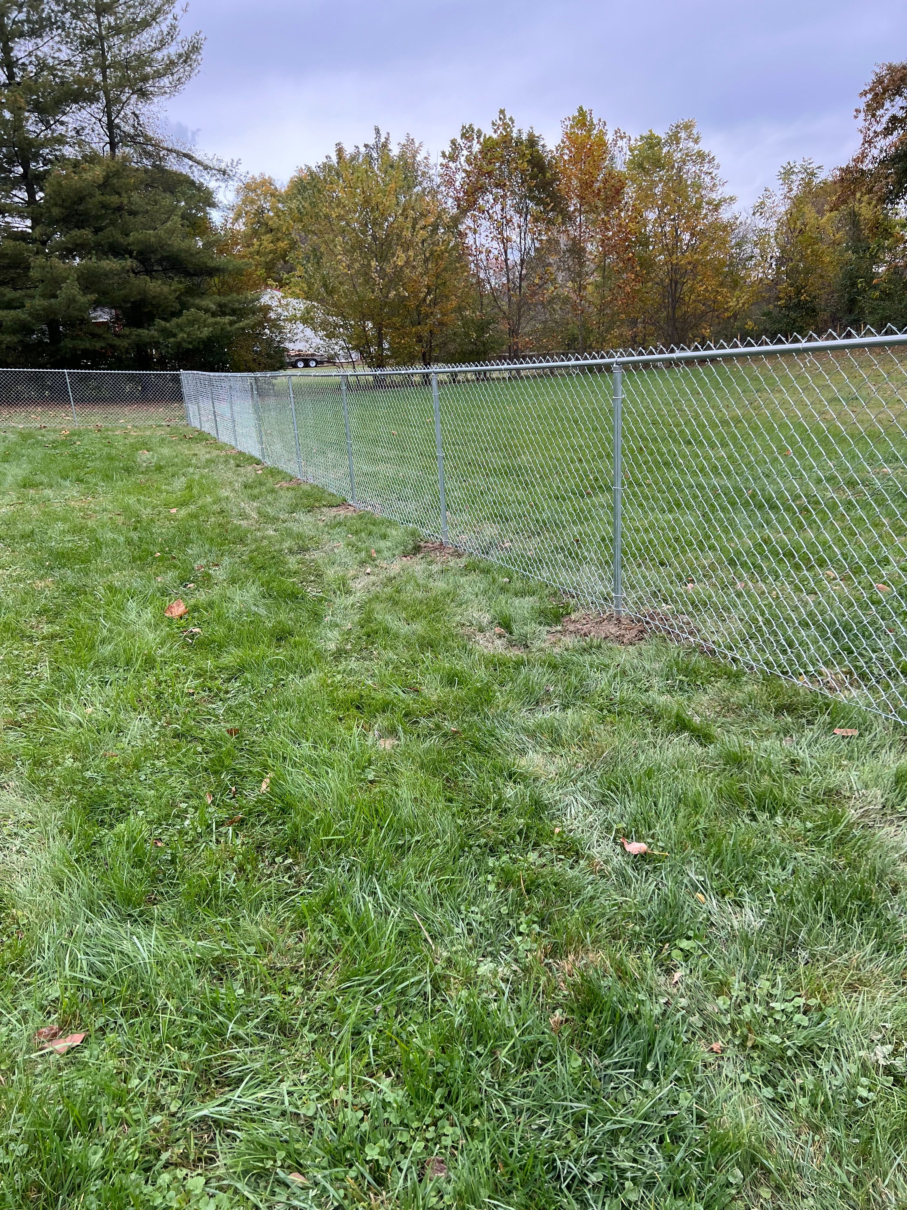  for Penrod & Son's Fencing in Greenville, KY
