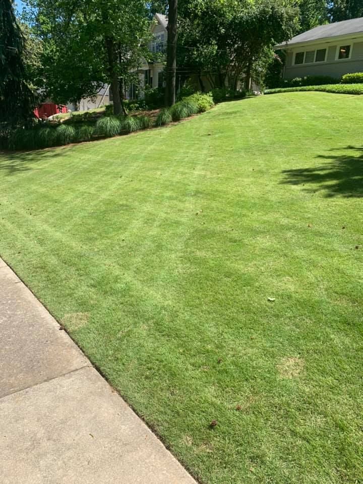 All Photos for Bega Landscape Services in Atlanta, Georgia