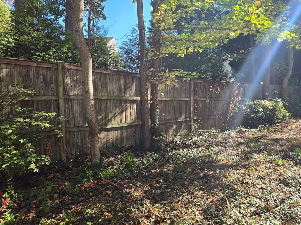  for W D Giampa Lawns and Landscape Inc. in Manassas, VA