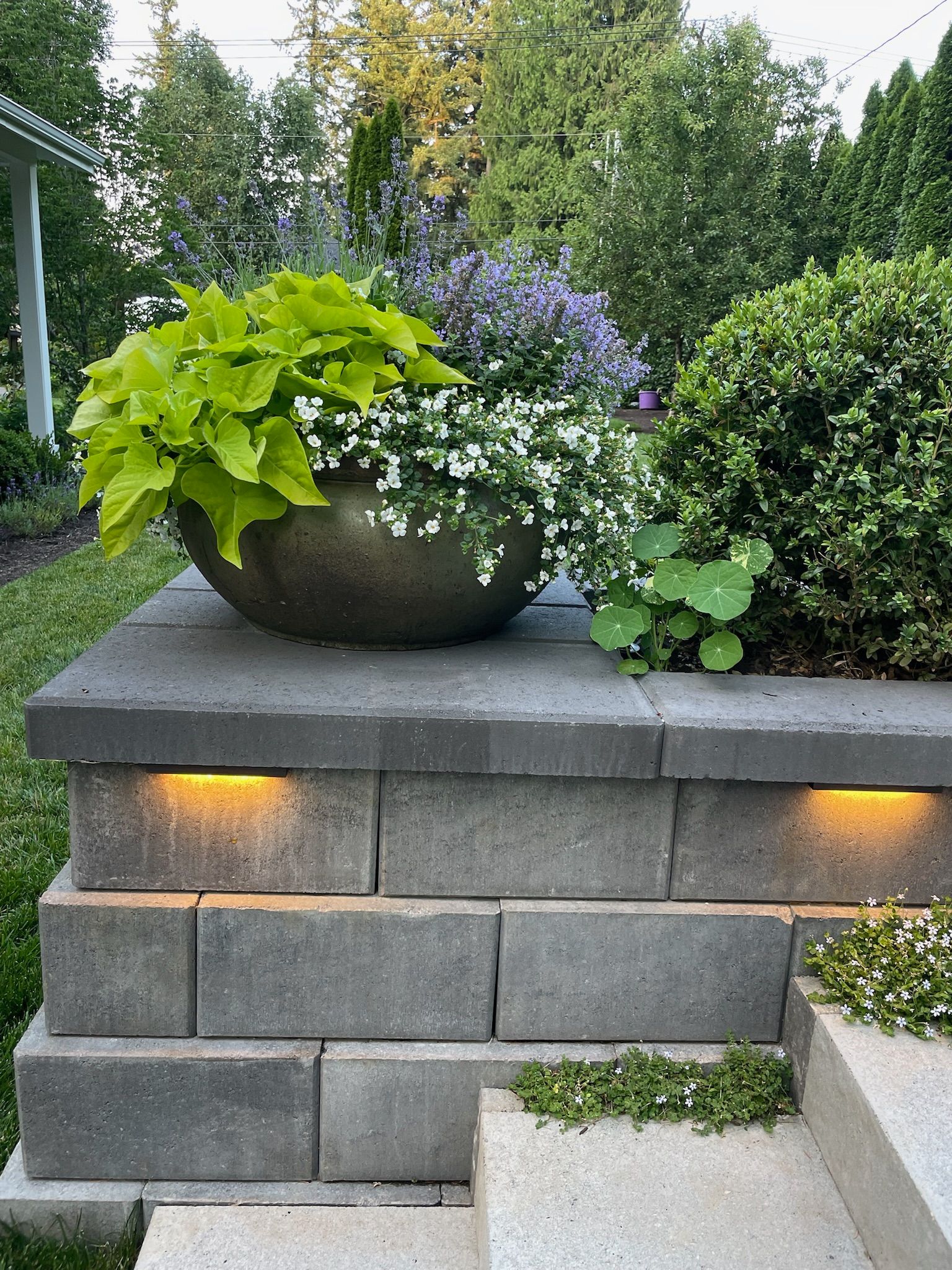  for Courtney Lewis Landscape Design in Portland, OR