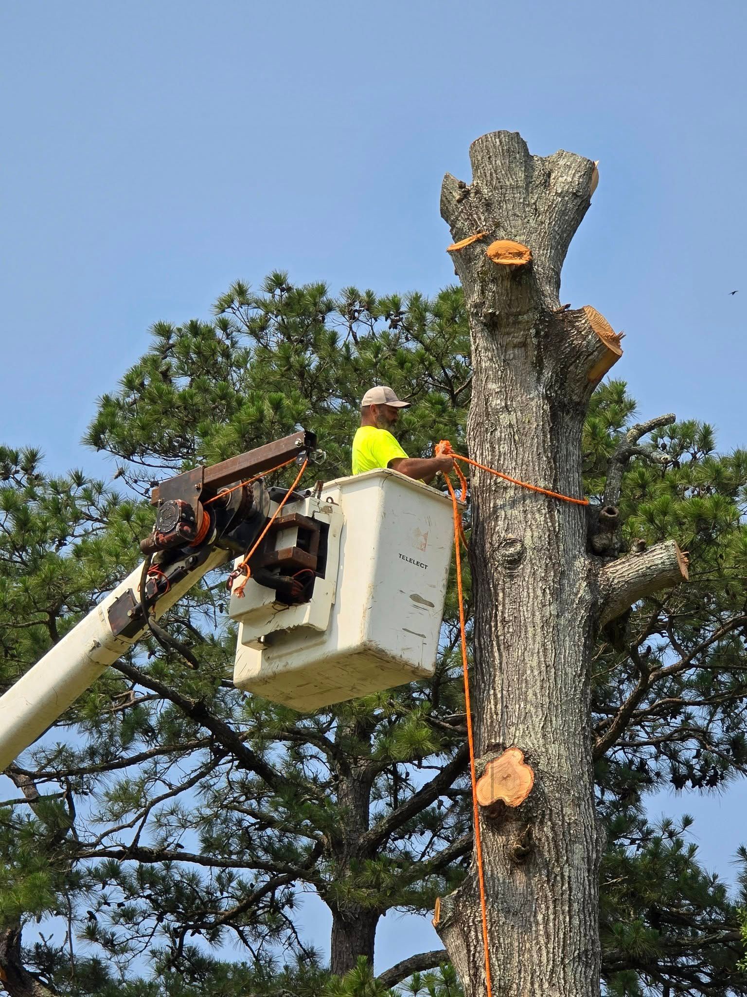  for Breaktime Tree Trimming & Removal in Oakdale, LA