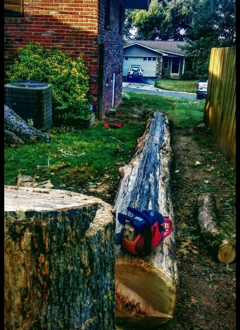  for Millers Tree Service in Saline County, AR