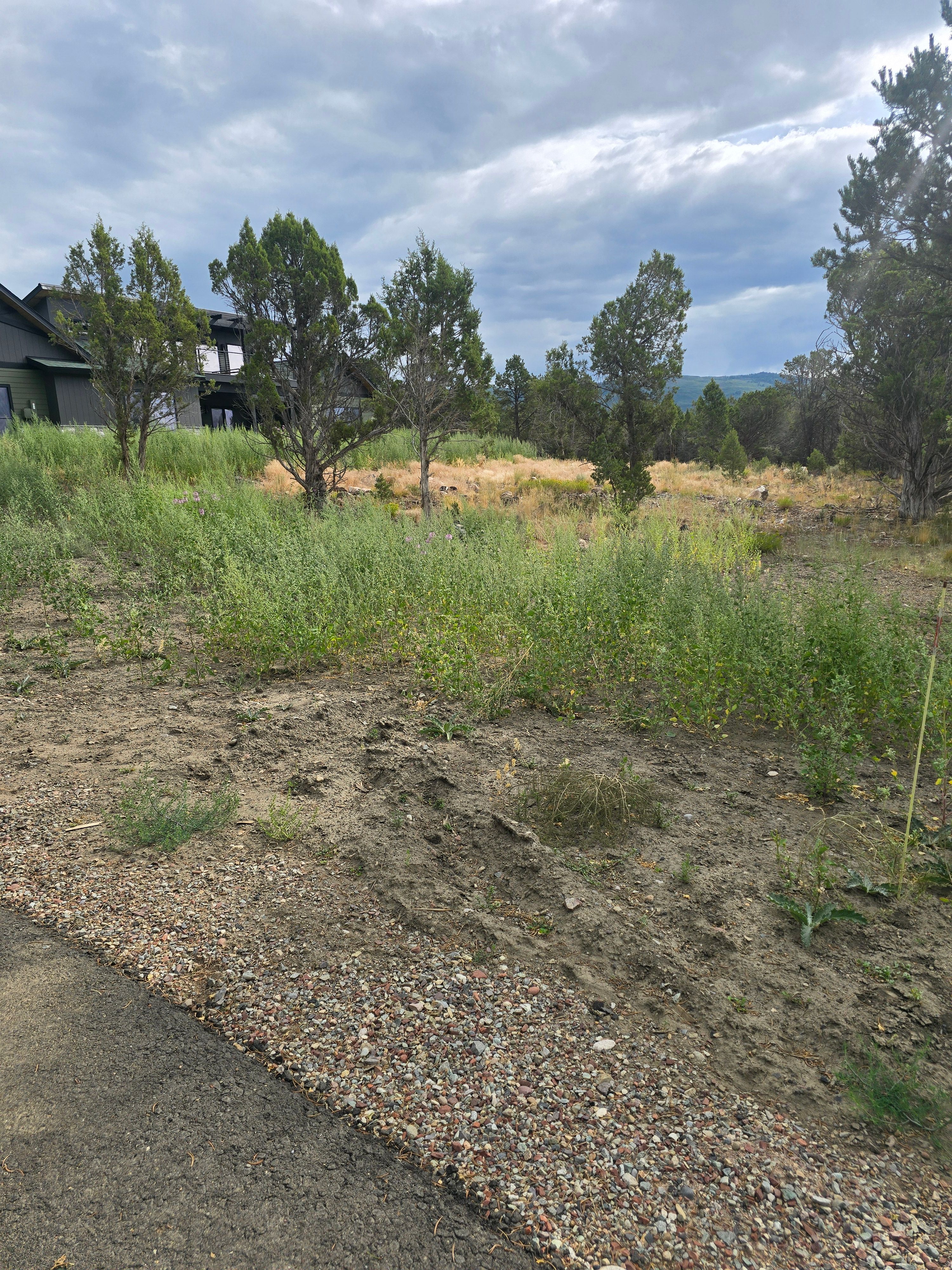 All Photos for LRS: Landscape, Rescue, Snow in Silt, CO