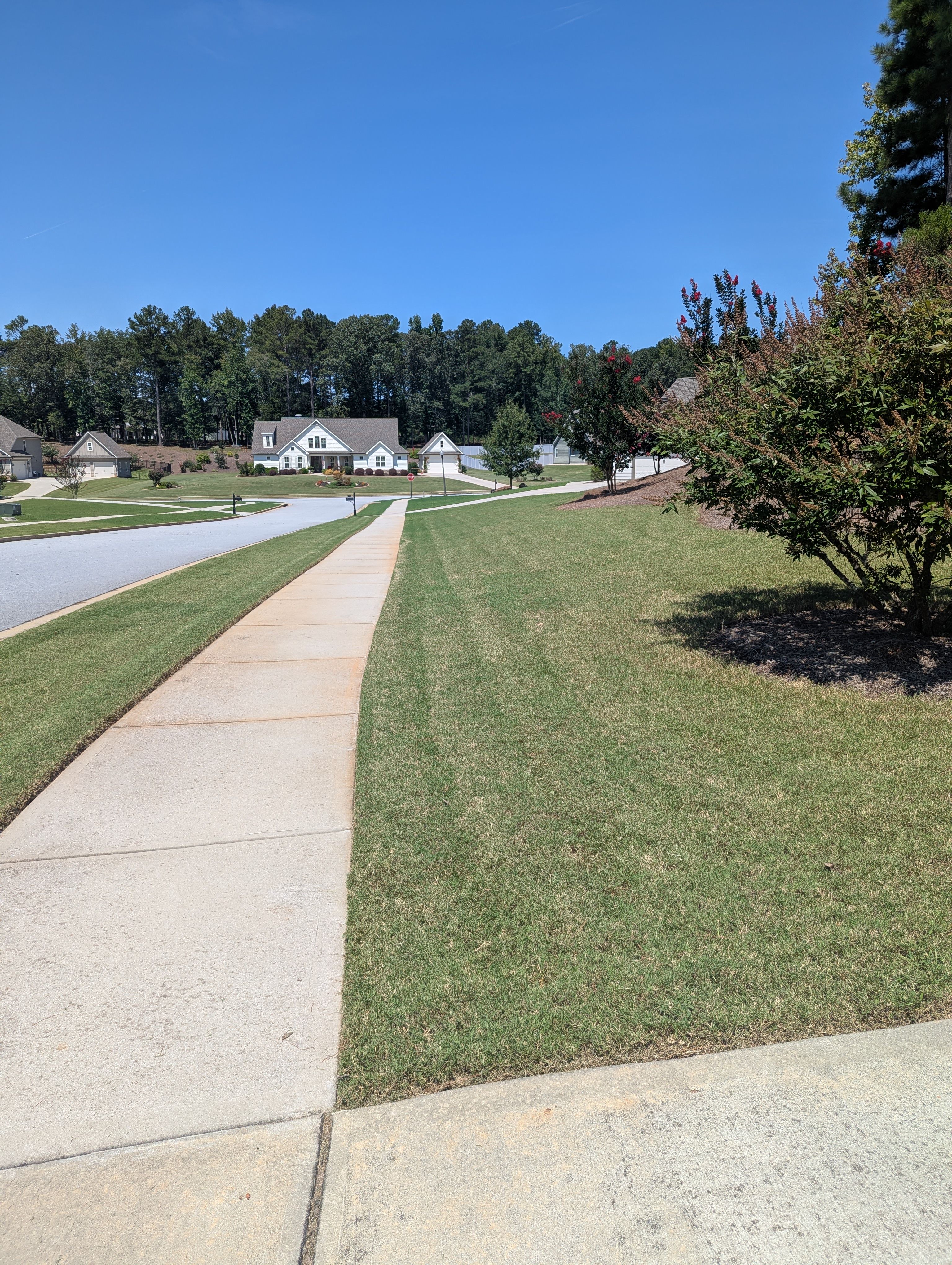  for Fantastic Lawn Care in Fayetteville, GA