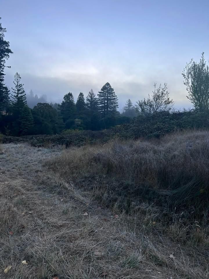  for J. Orozco & Sons Ent in Philo, CA