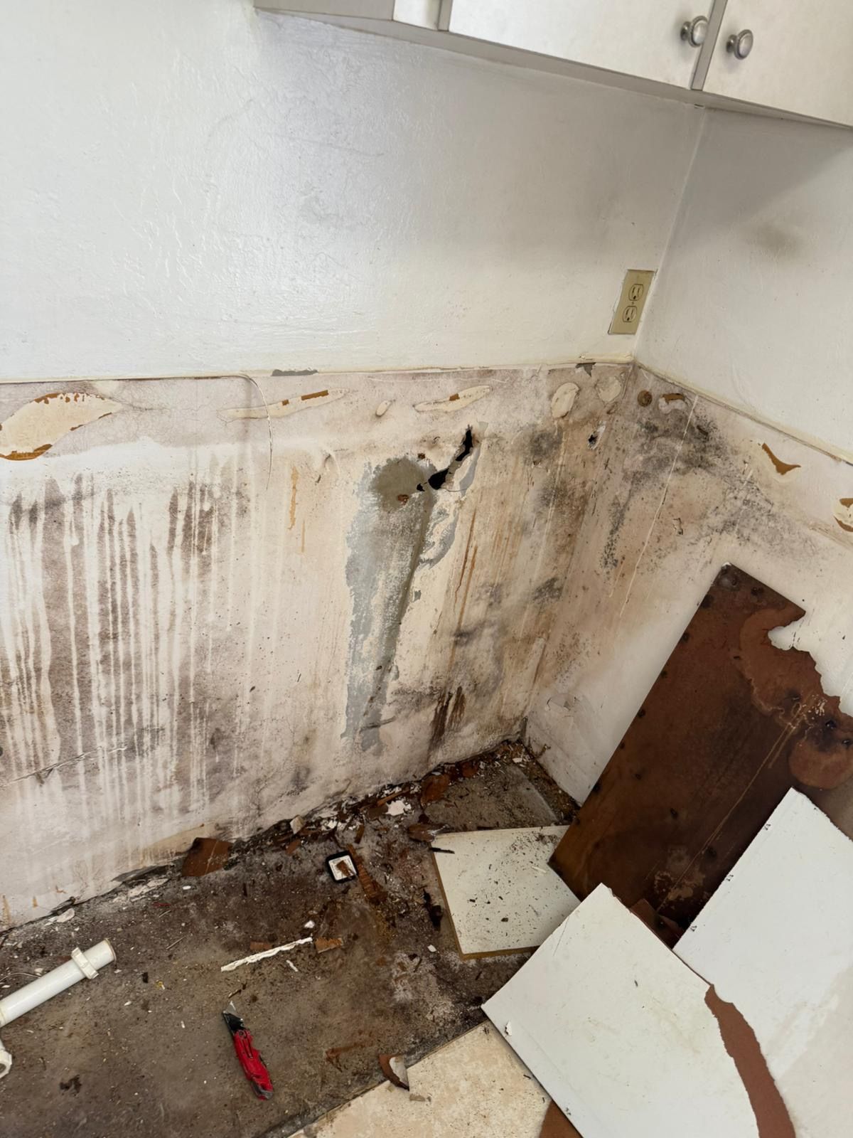  for N&D Restoration Services When Disaster Strikes, We Come In in Cape Coral,  FL