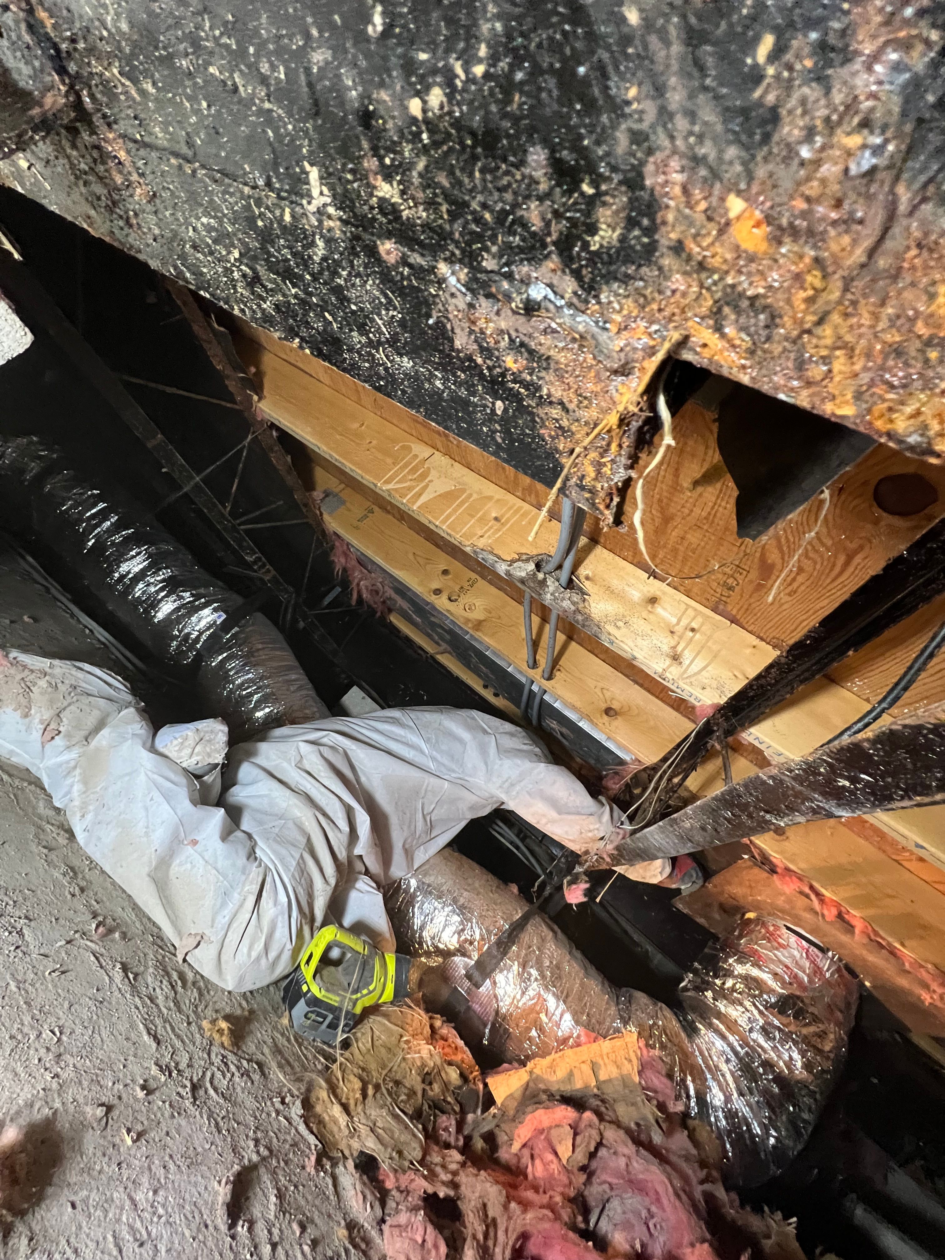  for N&D Restoration Services When Disaster Strikes, We Come In in Cape Coral,  FL