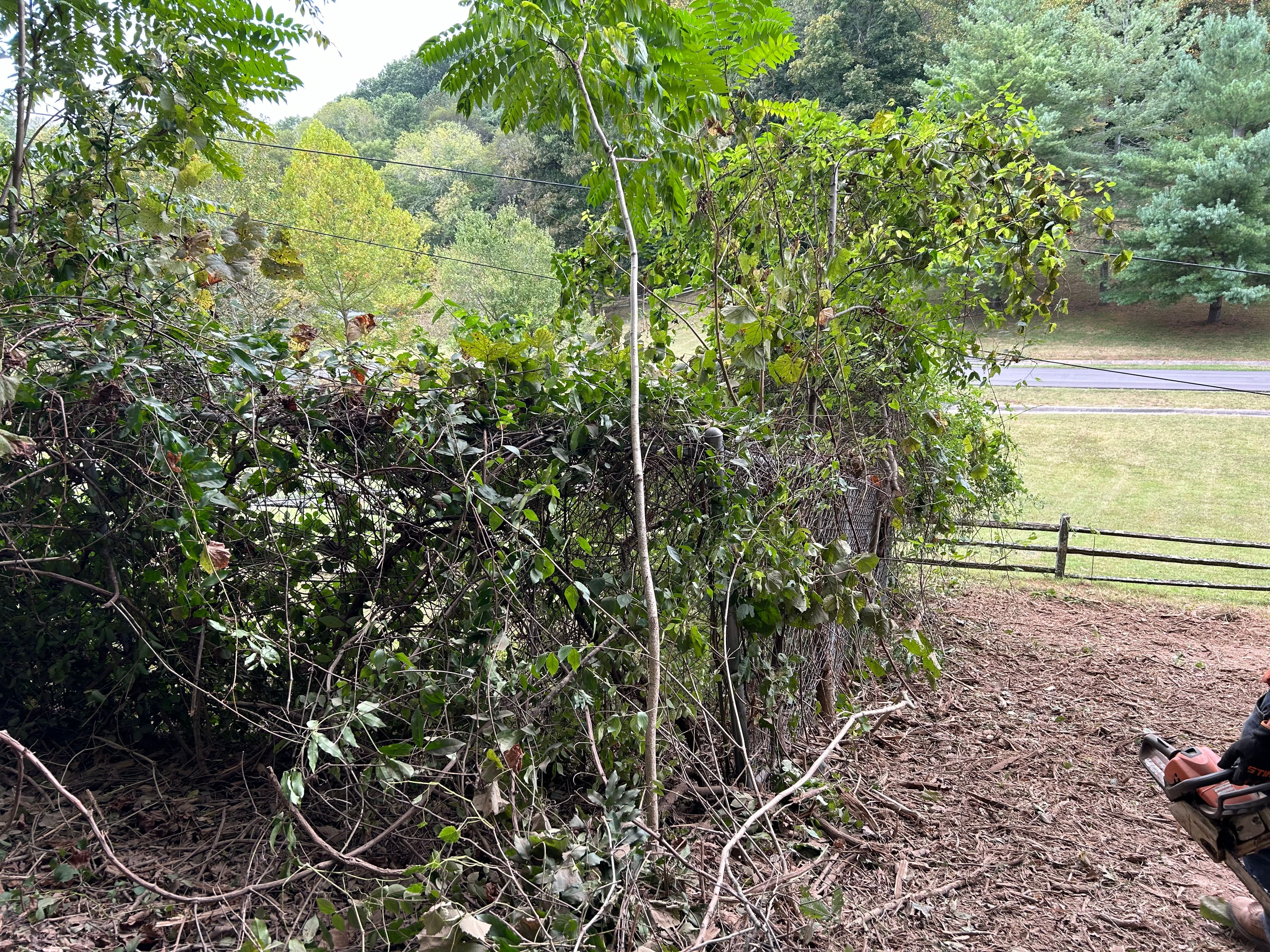  for TriStar Land Clearing & Mulching in Murfreesboro, TN