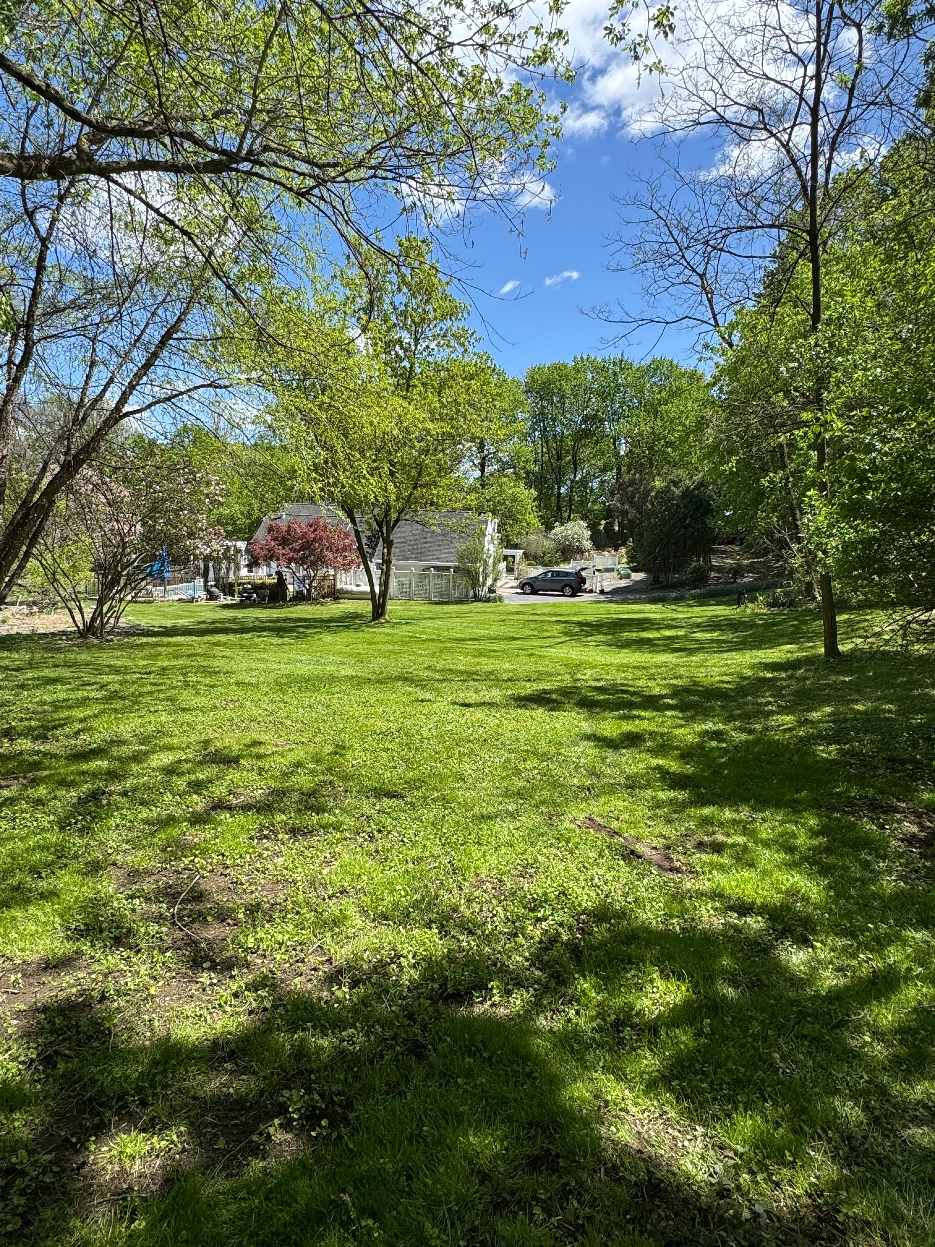Lawn care for Landscape & Lawn Care Pros in Reading, PA