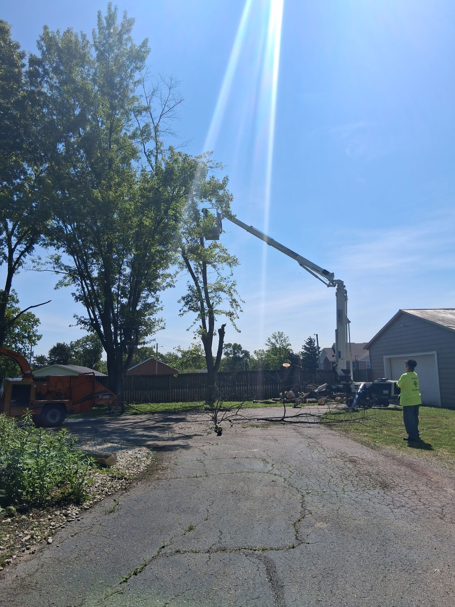 All Photos for Pro Tree Trim & Removal, Llc in Dayton, OH