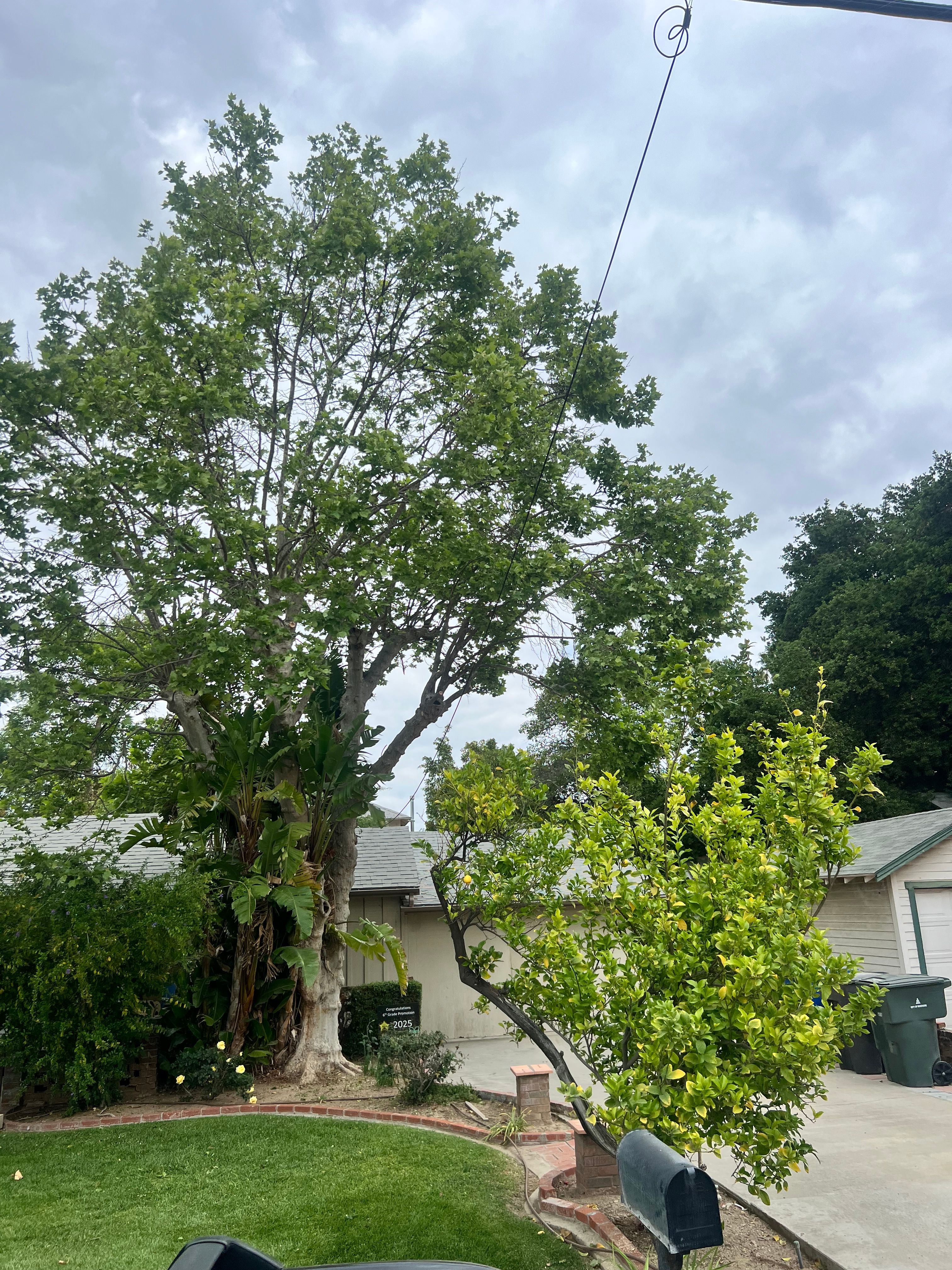  for Poseidon Valley Tree Service Corp in San Bernardino, CA
