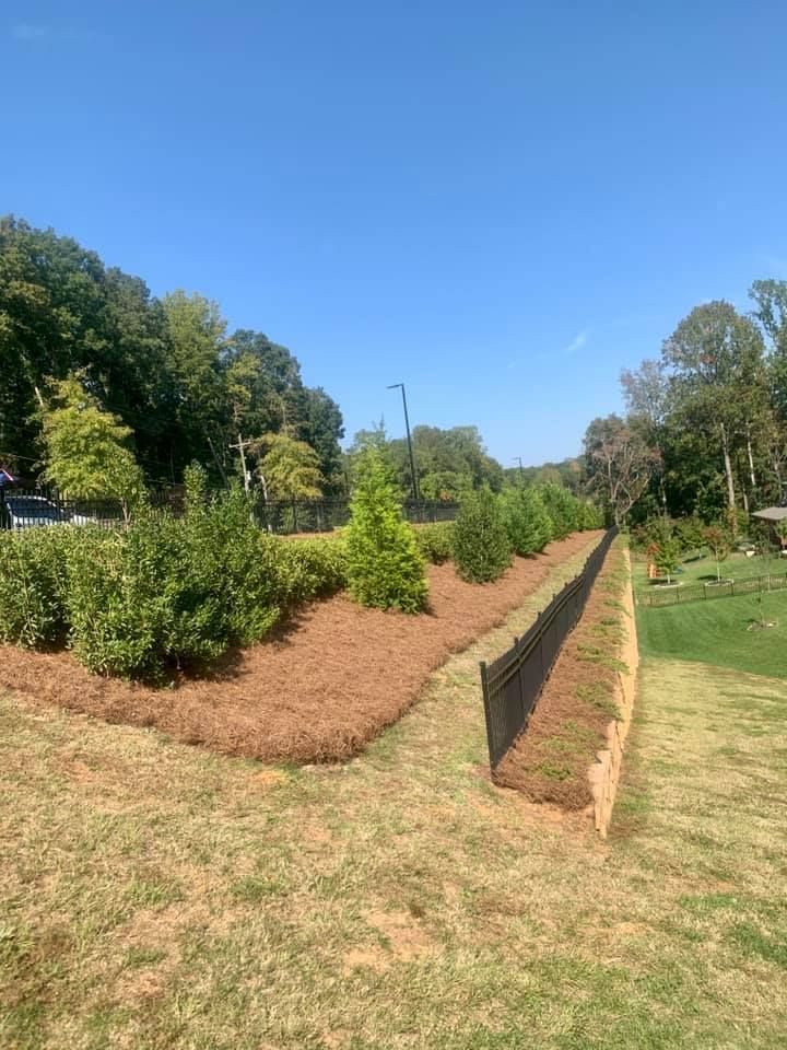  for Pecina Pine Needles in Monroe, NC