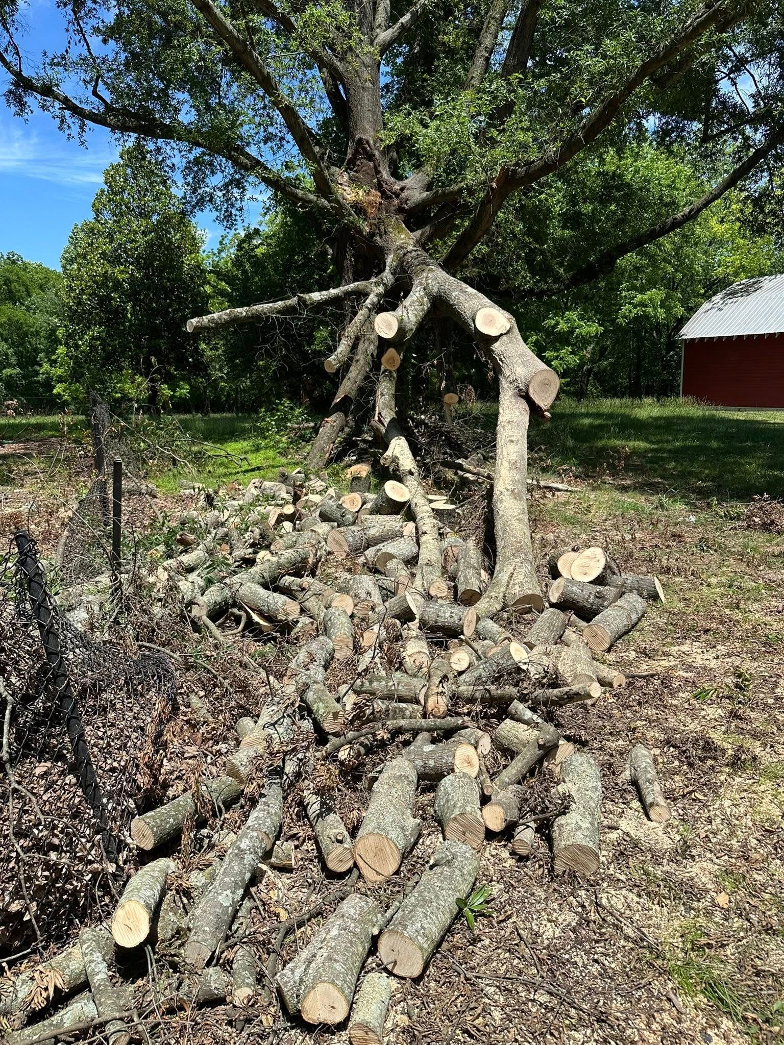  for Ramirez Tree Care in Elkin, NC