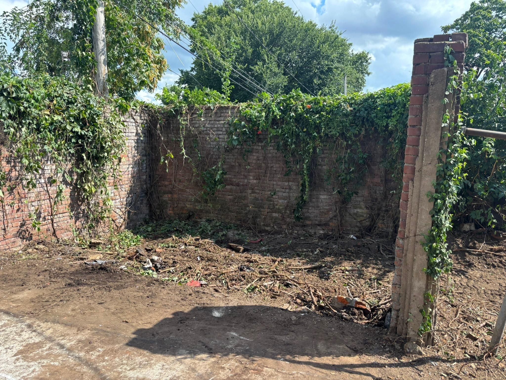 All Photos for Cross Family Tree Service in Kearney, MO