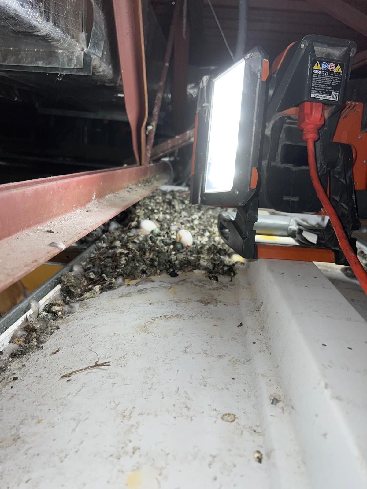  for N&D Restoration Services When Disaster Strikes, We Come In in Cape Coral,  FL