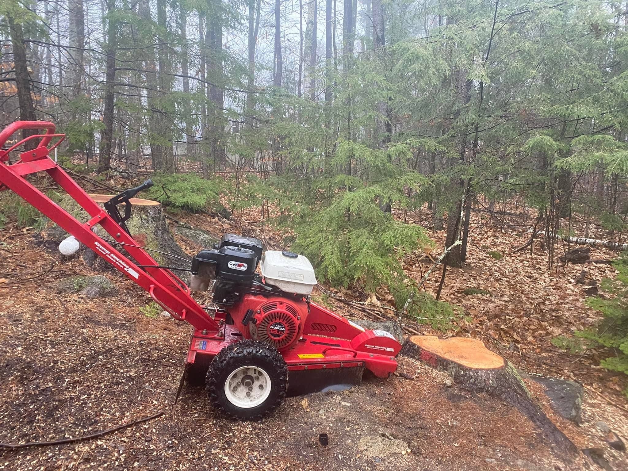  for Willett's Forest and Property Maintenance in 03278, NH