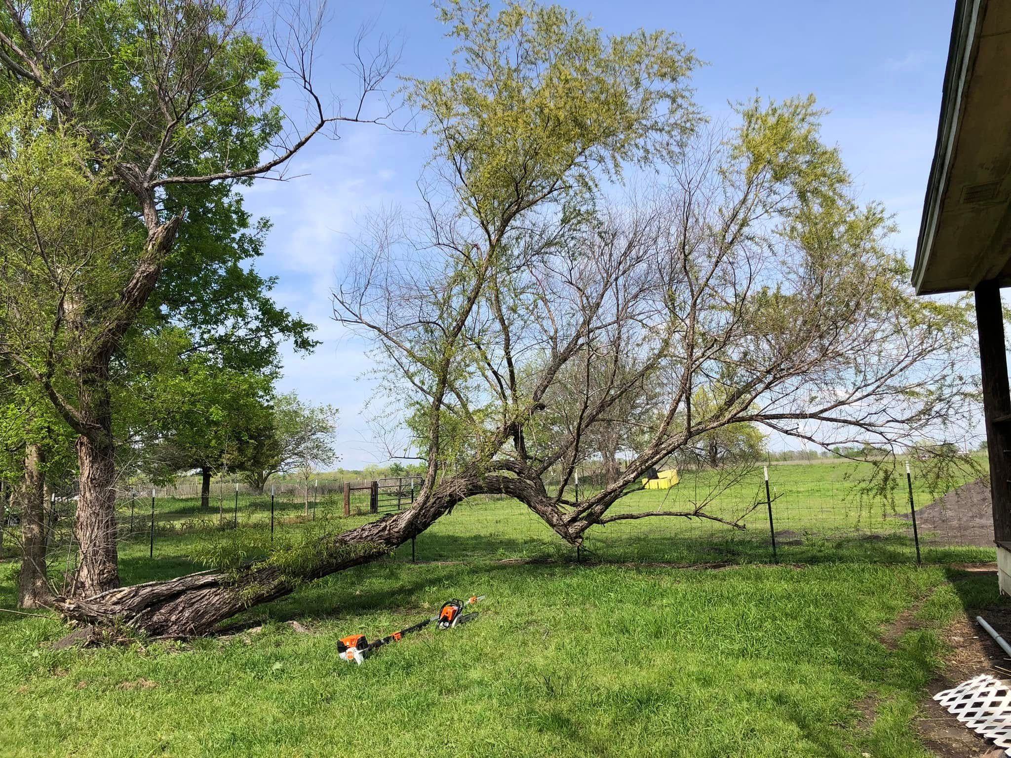  for Piña’s Lawncare in Waco, TX