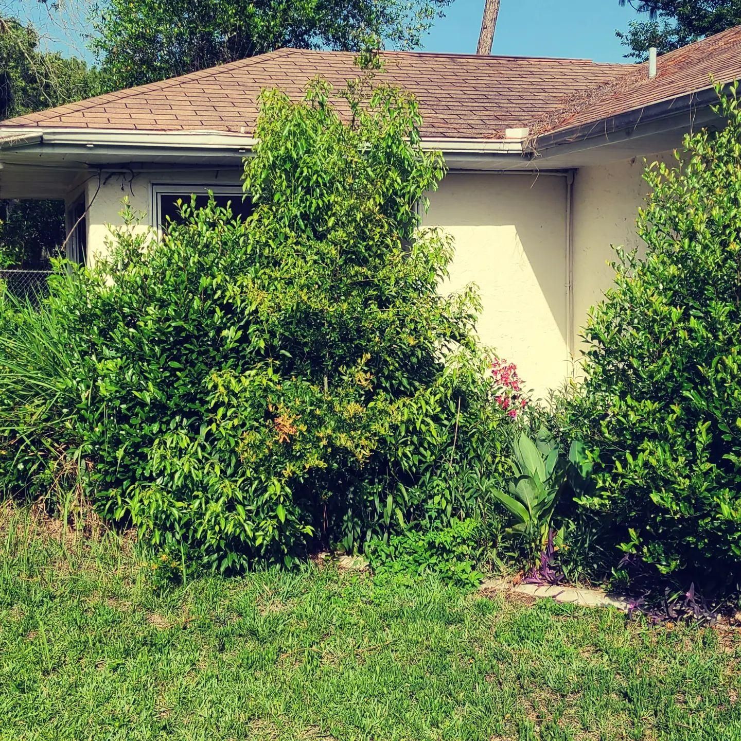  for TopNotch Landscaping Services  in The Villages, FL