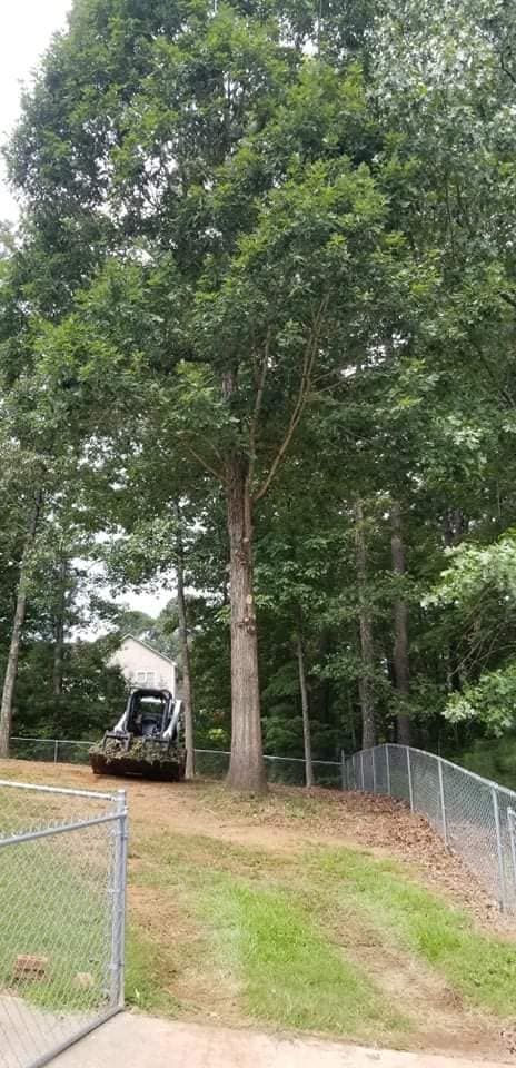  for DNA Tree Service in Birmingham, AL