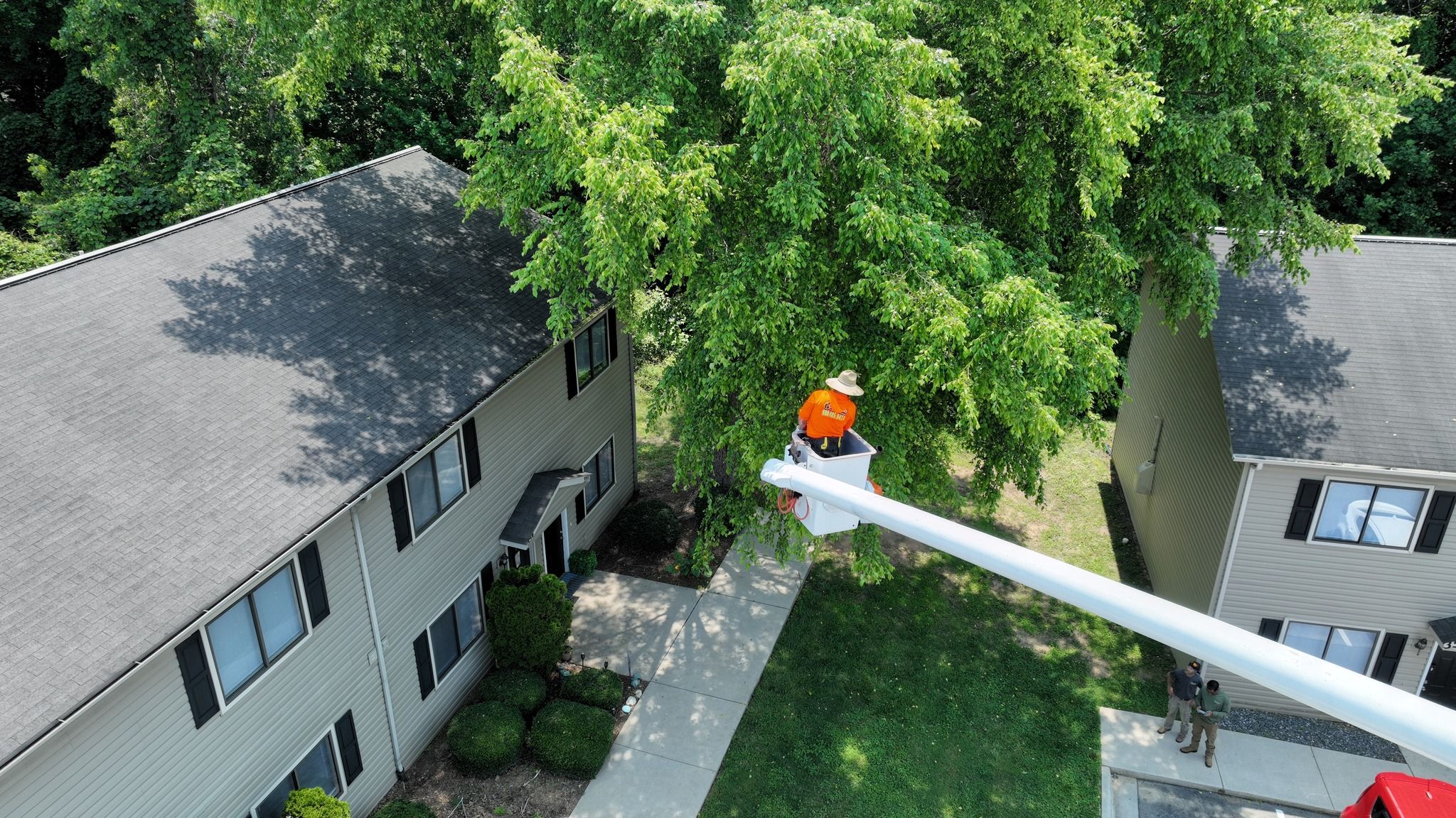  for Cisco Kid Tree Services in Raleigh, NC