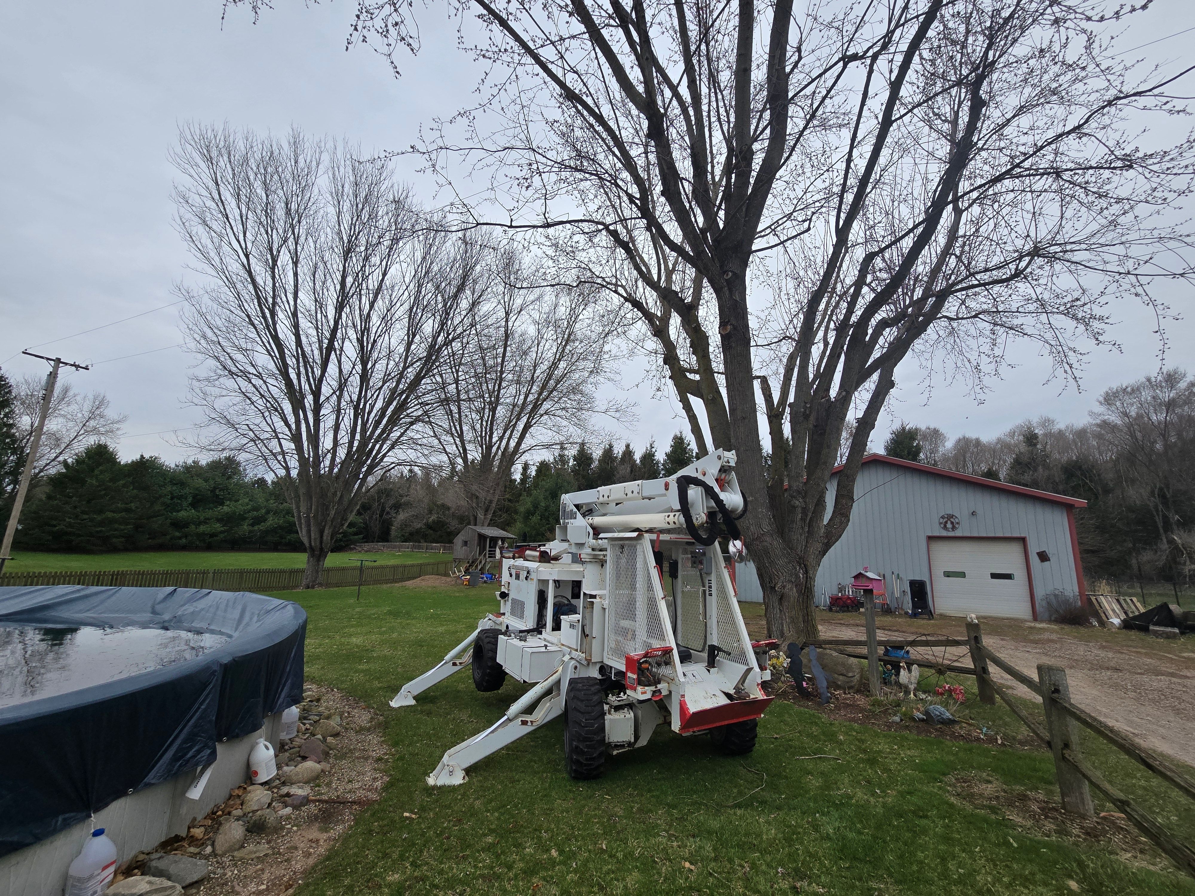  for D Hale Tree Service in Dexter, MI