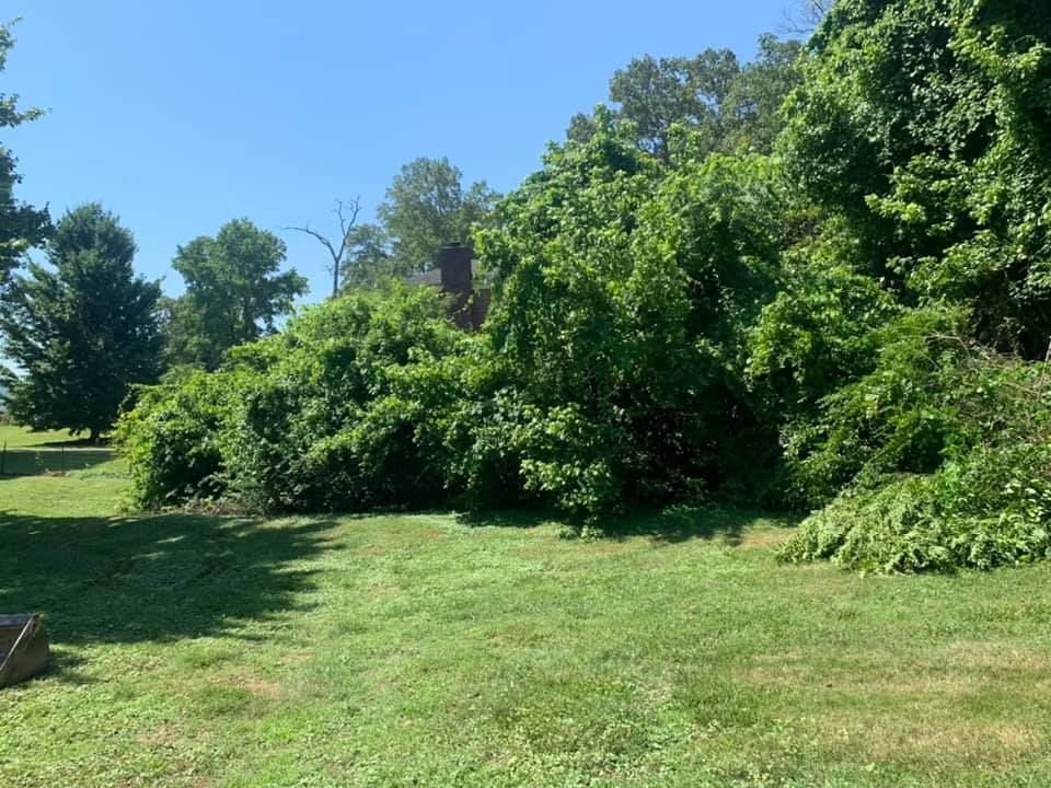  for Southeast Land Services in Cleveland, TN