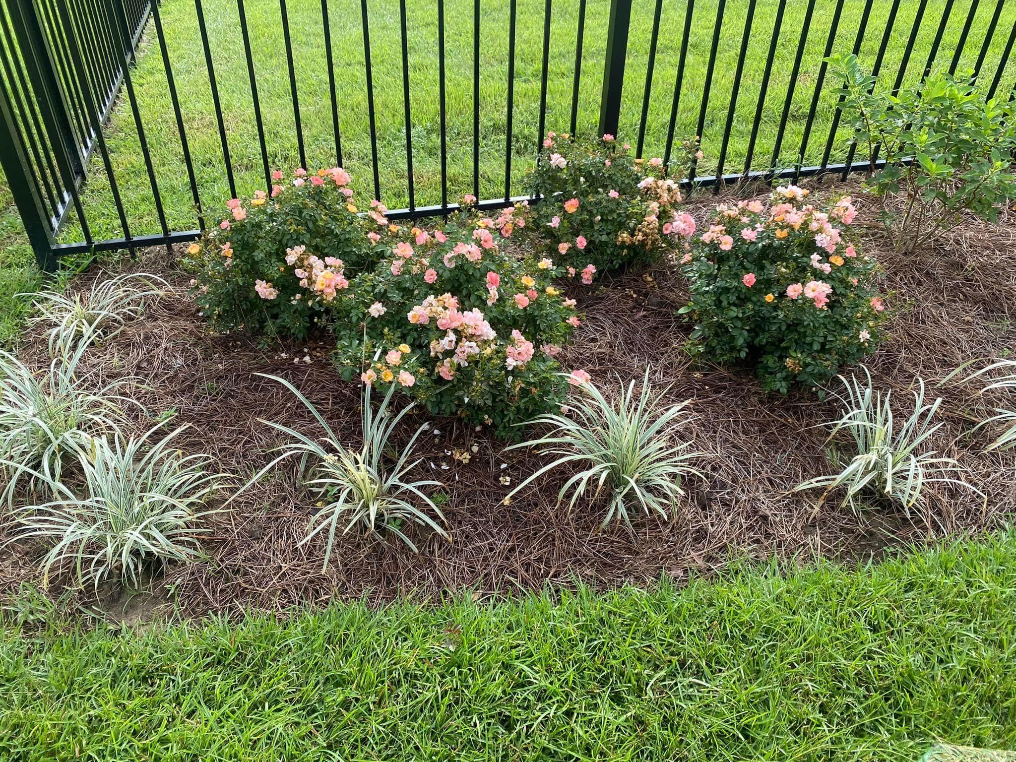  for Grasshopper's Lawn and Landscape in Fairhope, AL