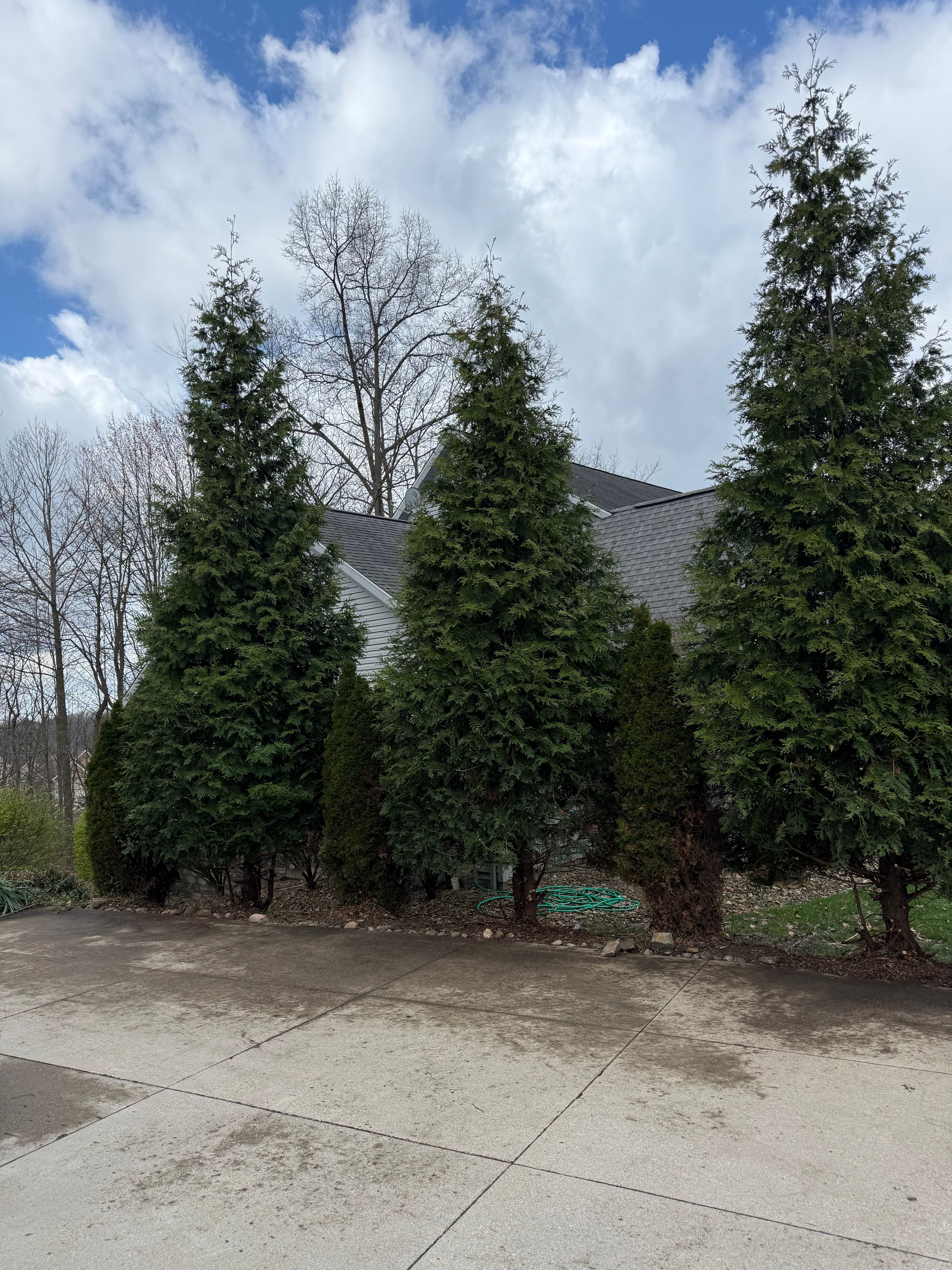  for Jenkins Landscaping & Property Management LLC in Clinton, OH