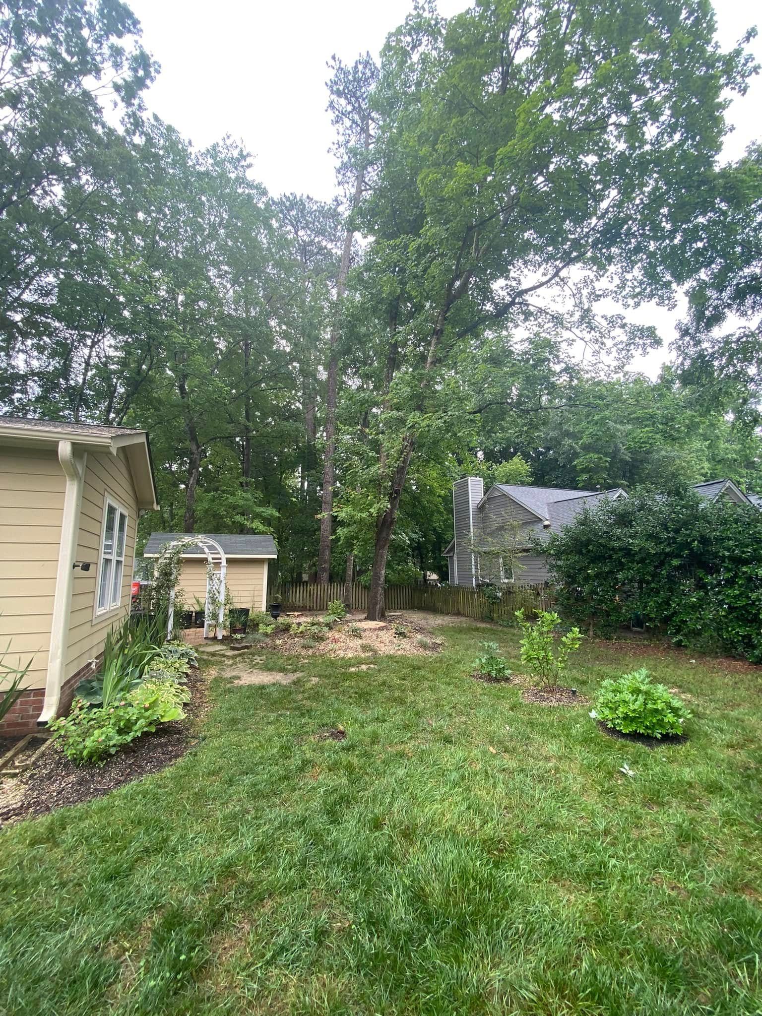 Tree Removal for MTJ Tree Removal LLC in Zebulon, NC