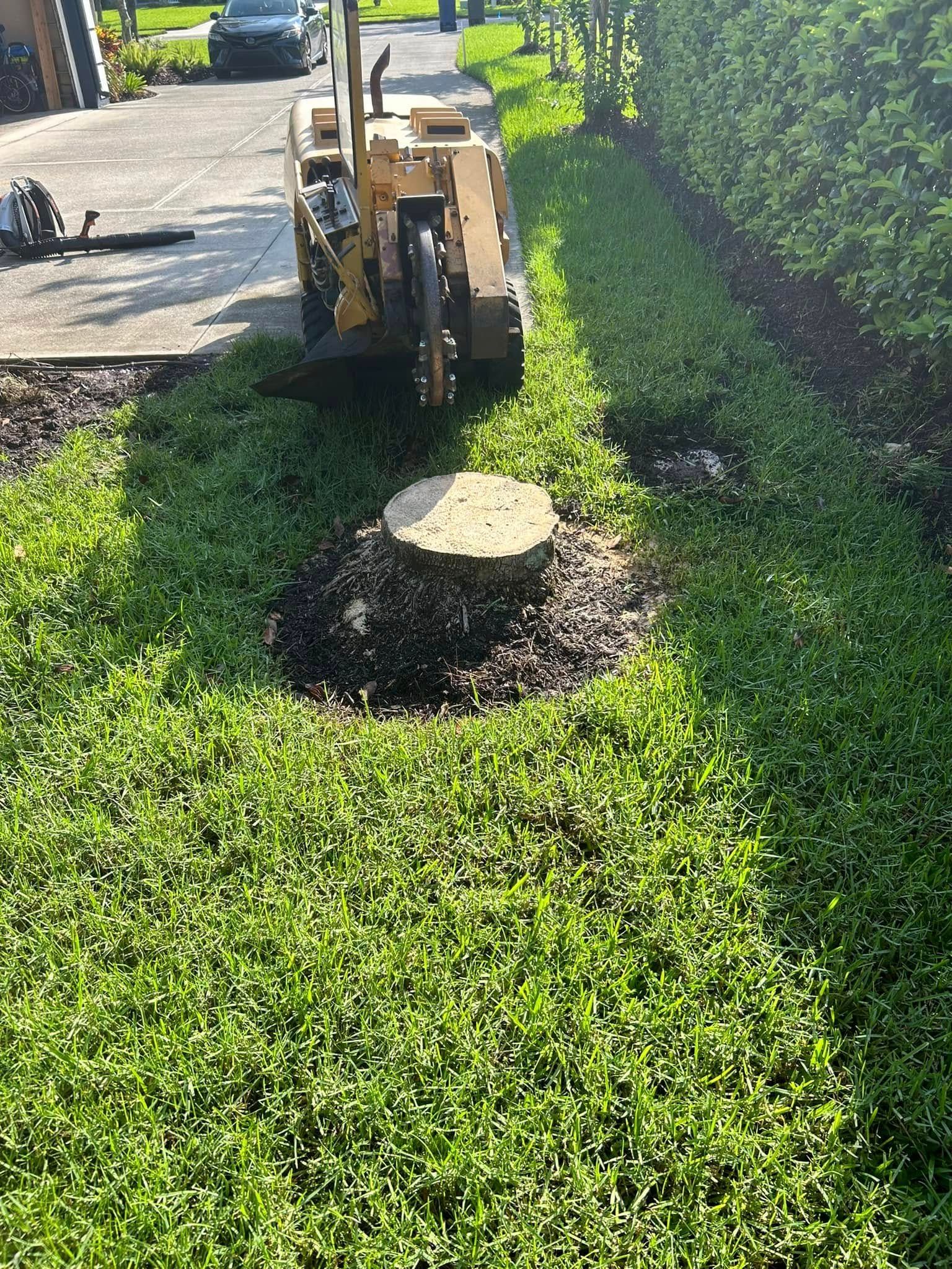  for Grizzly Stump Grinding in Sarasota, FL