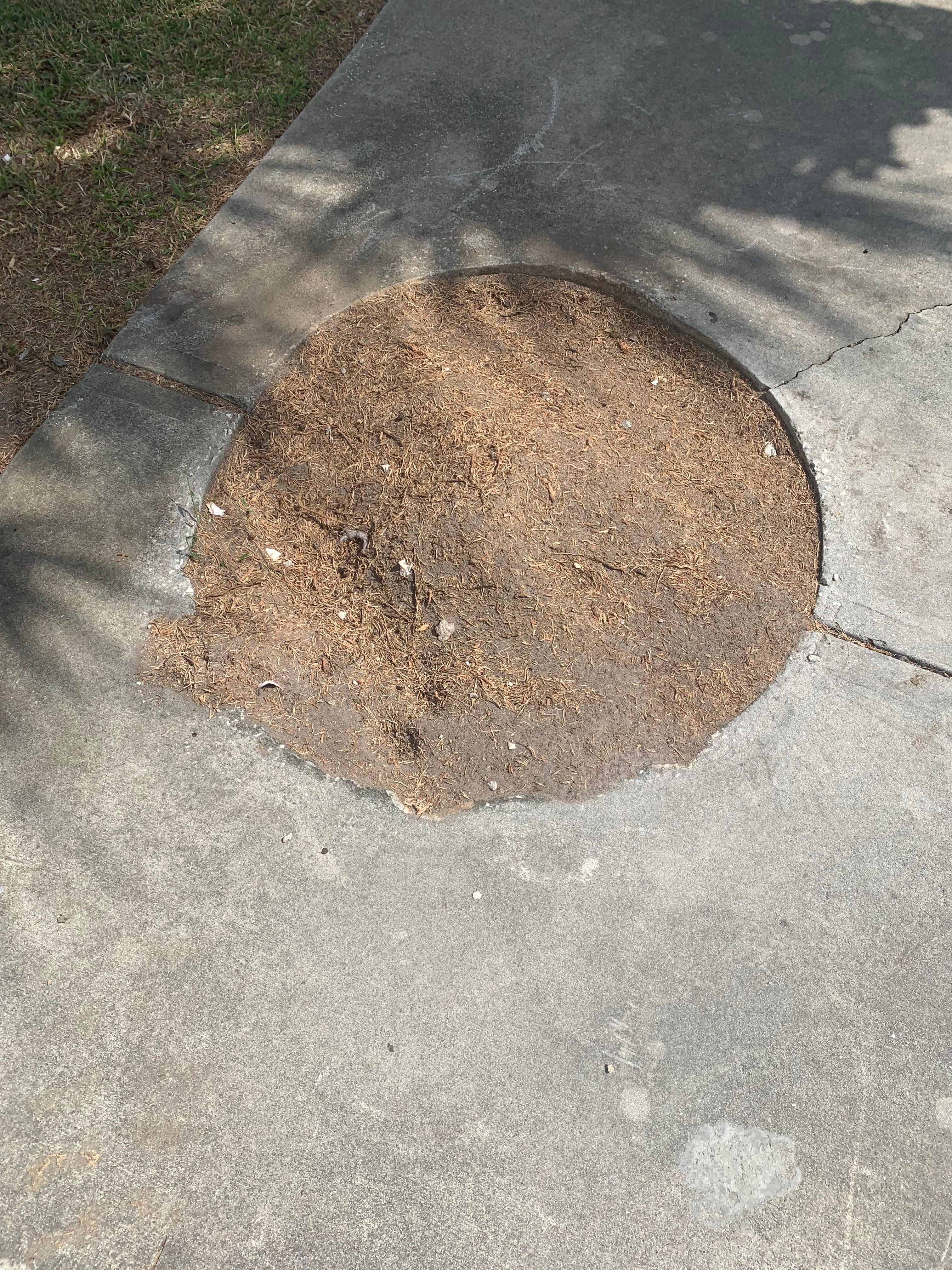  for Space Coast Property Maintenance and Management LLC in Melbourne, FL