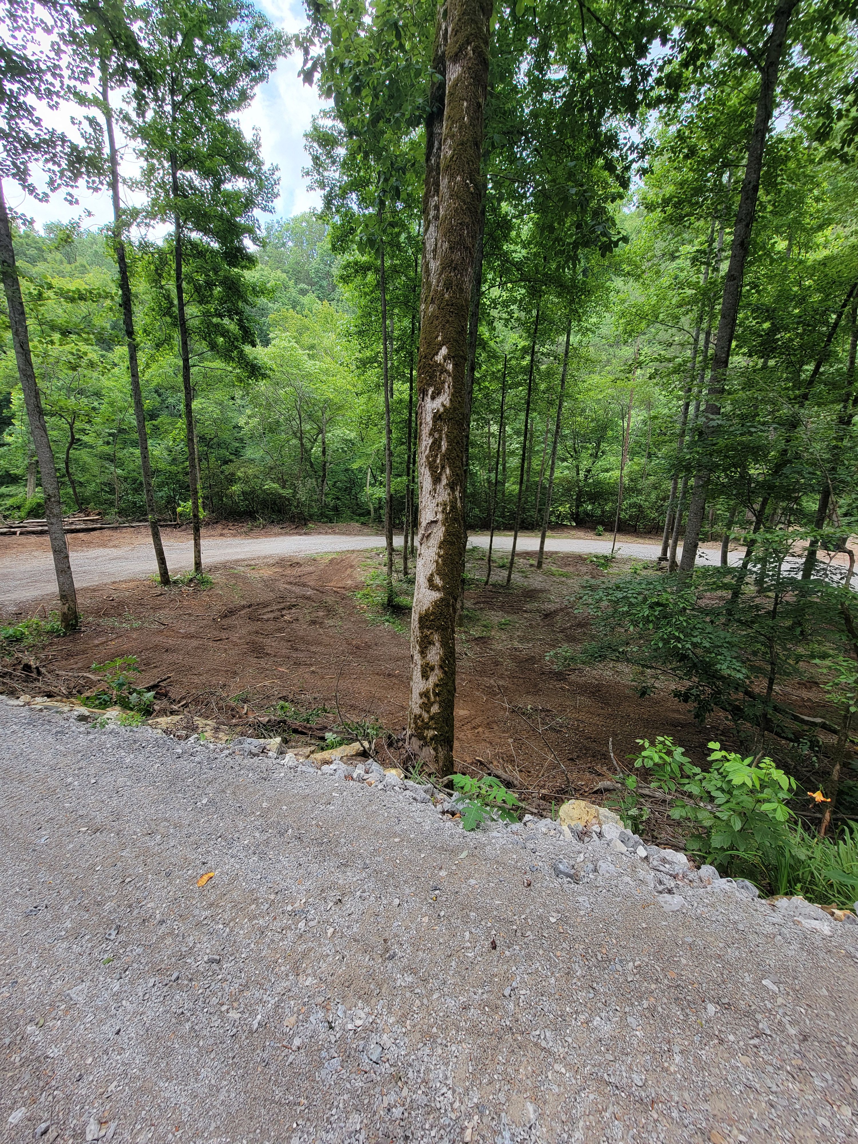  for Z's Land Management & Forestry Mulching in Smithville, TN