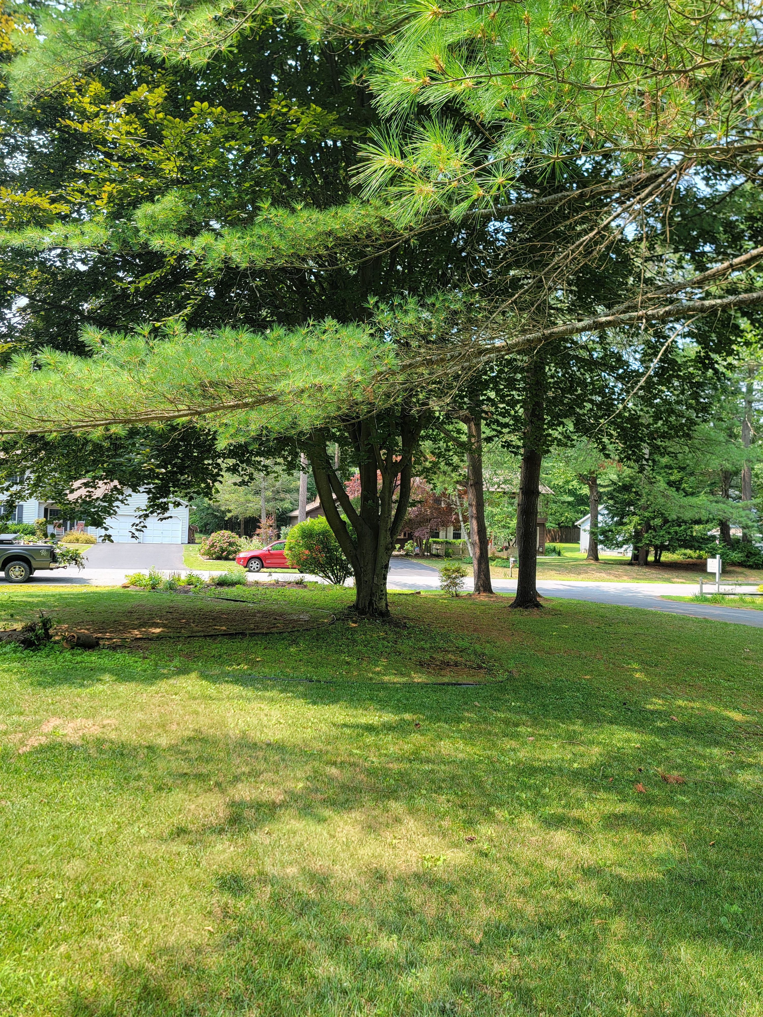 for Sweet Scapes in Ballston Spa, NY