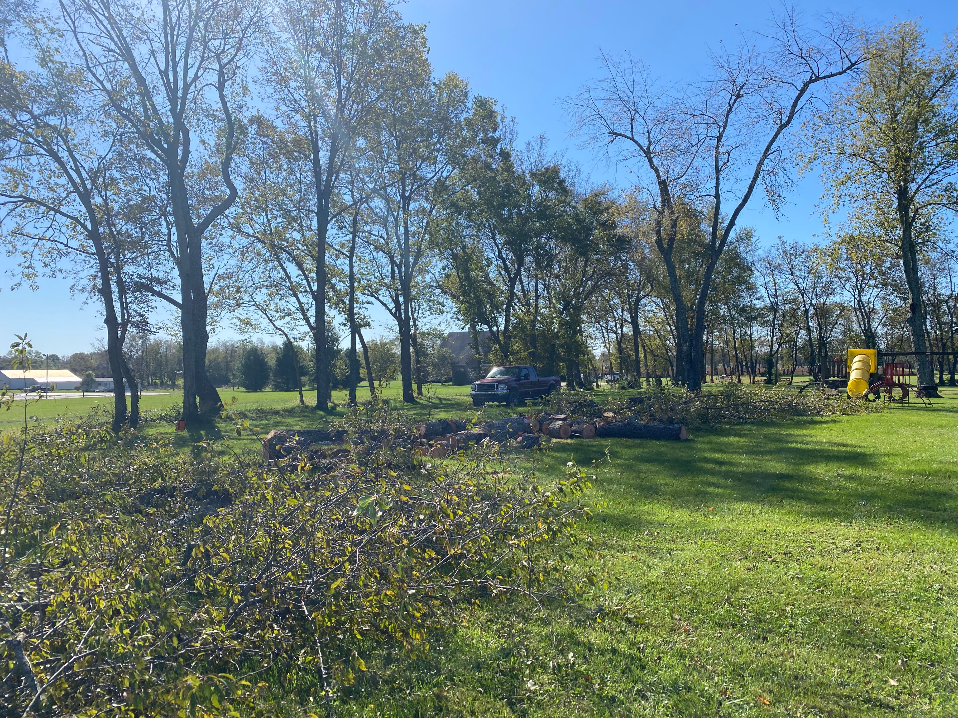 All Photos for Houtz Tree Service in Lexington, KY