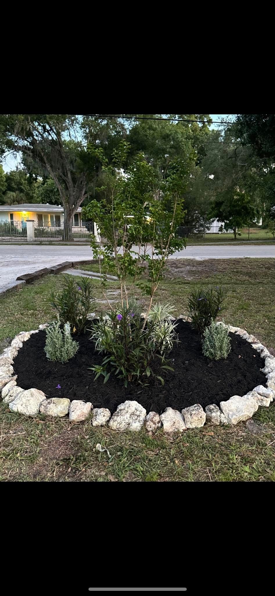  for Grizzly Stump Grinding in Sarasota, FL
