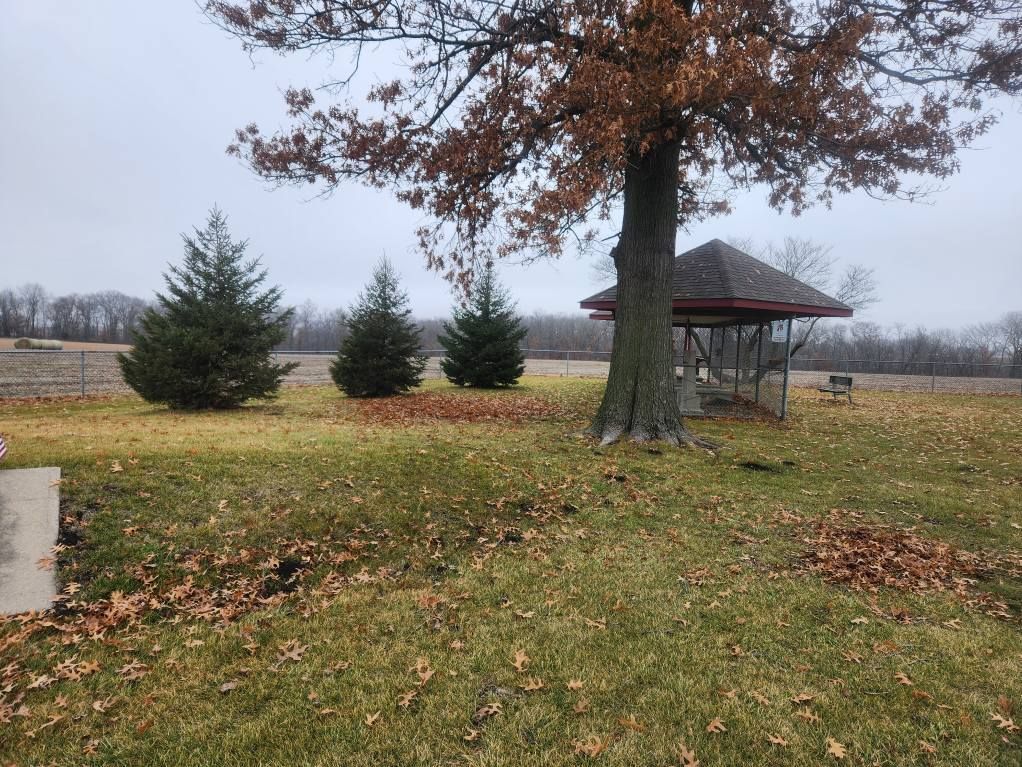  for Lawn Ranger Yard And Tree Service in Ottumwa, IA