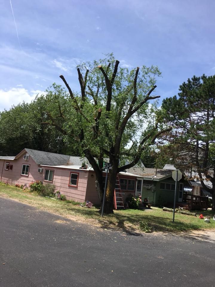 Tree Removal for Jason's Tree Service in Marlton, NJ