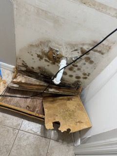  for N&D Restoration Services When Disaster Strikes, We Come In in Cape Coral,  FL