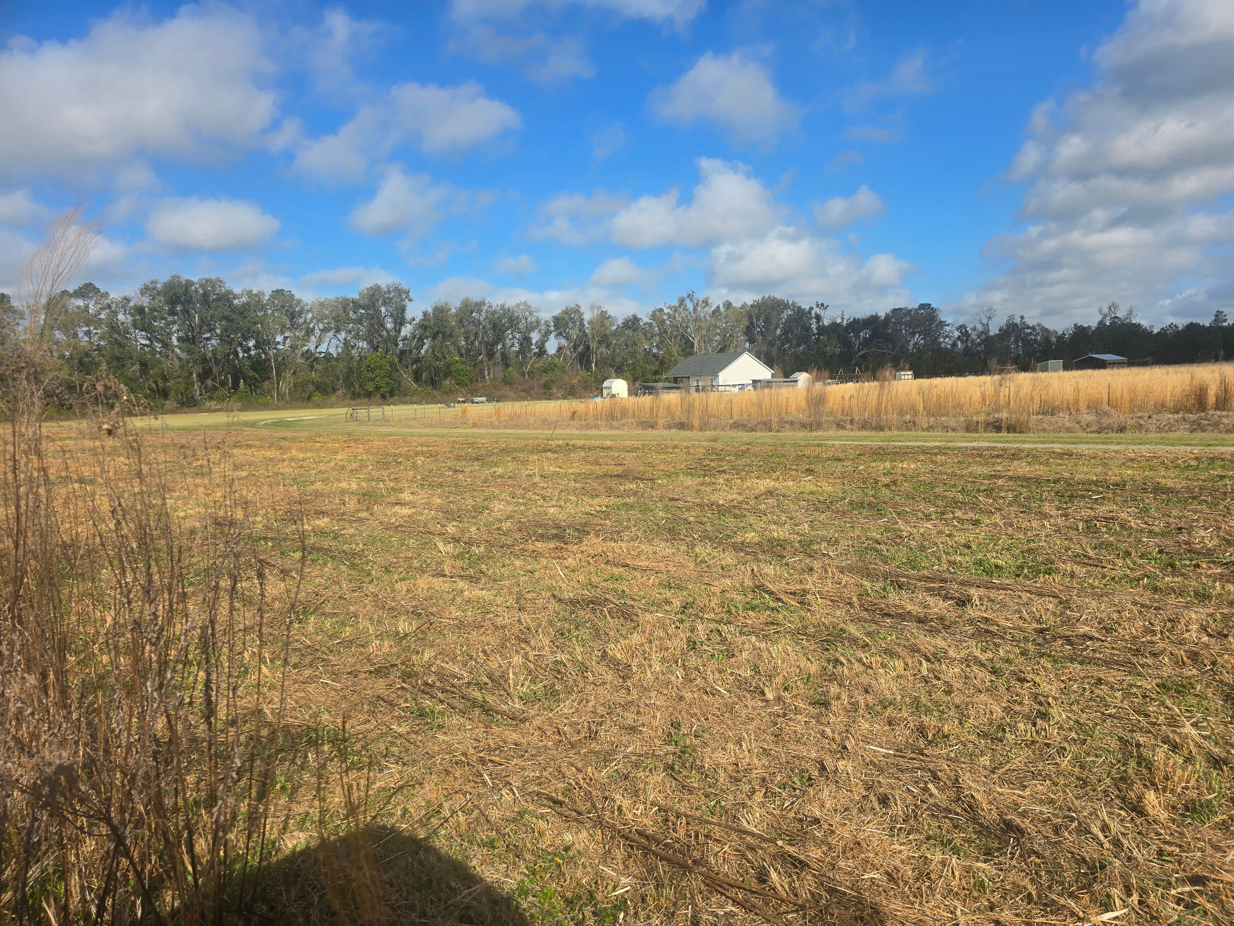  for Giles Land Management, LLC in Hahira, GA