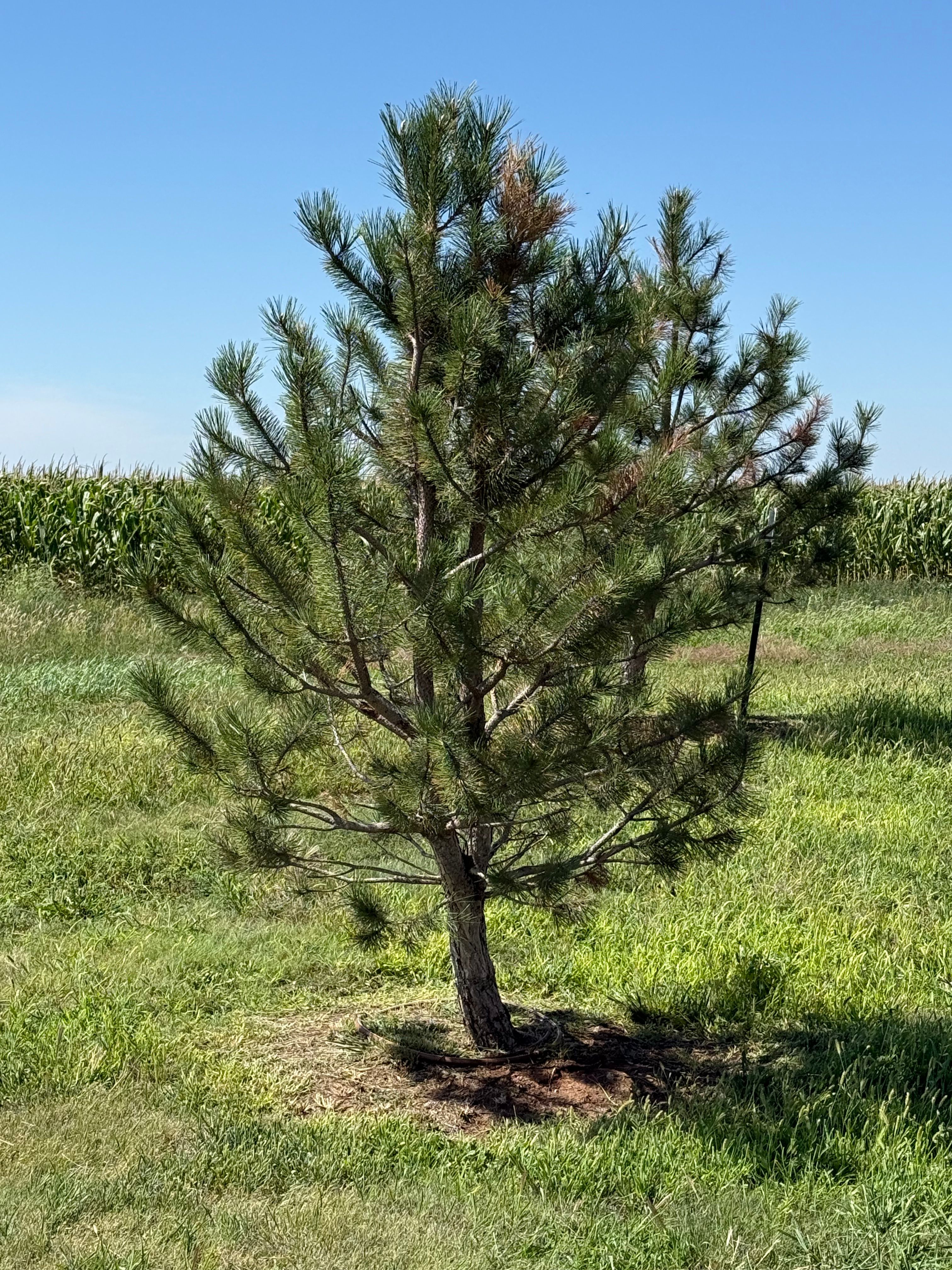  for R&J Hydromulch in Booker, TX